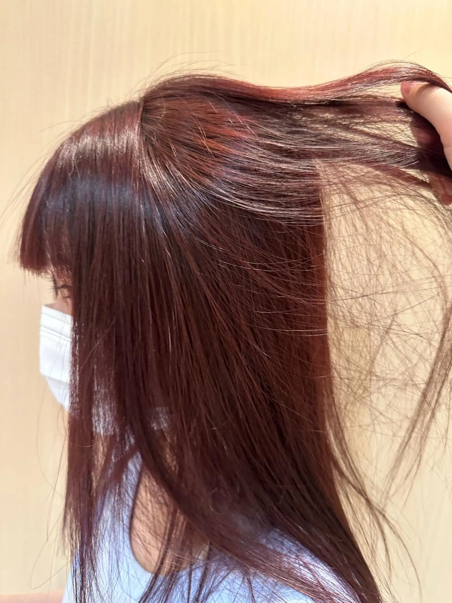 セミロング カラー ブリーチ ボルドーカラー ブリーチなしカラー カット ヘアカラー ｟羽エクステ｠ 鈴木　美羽のヘアスタイル