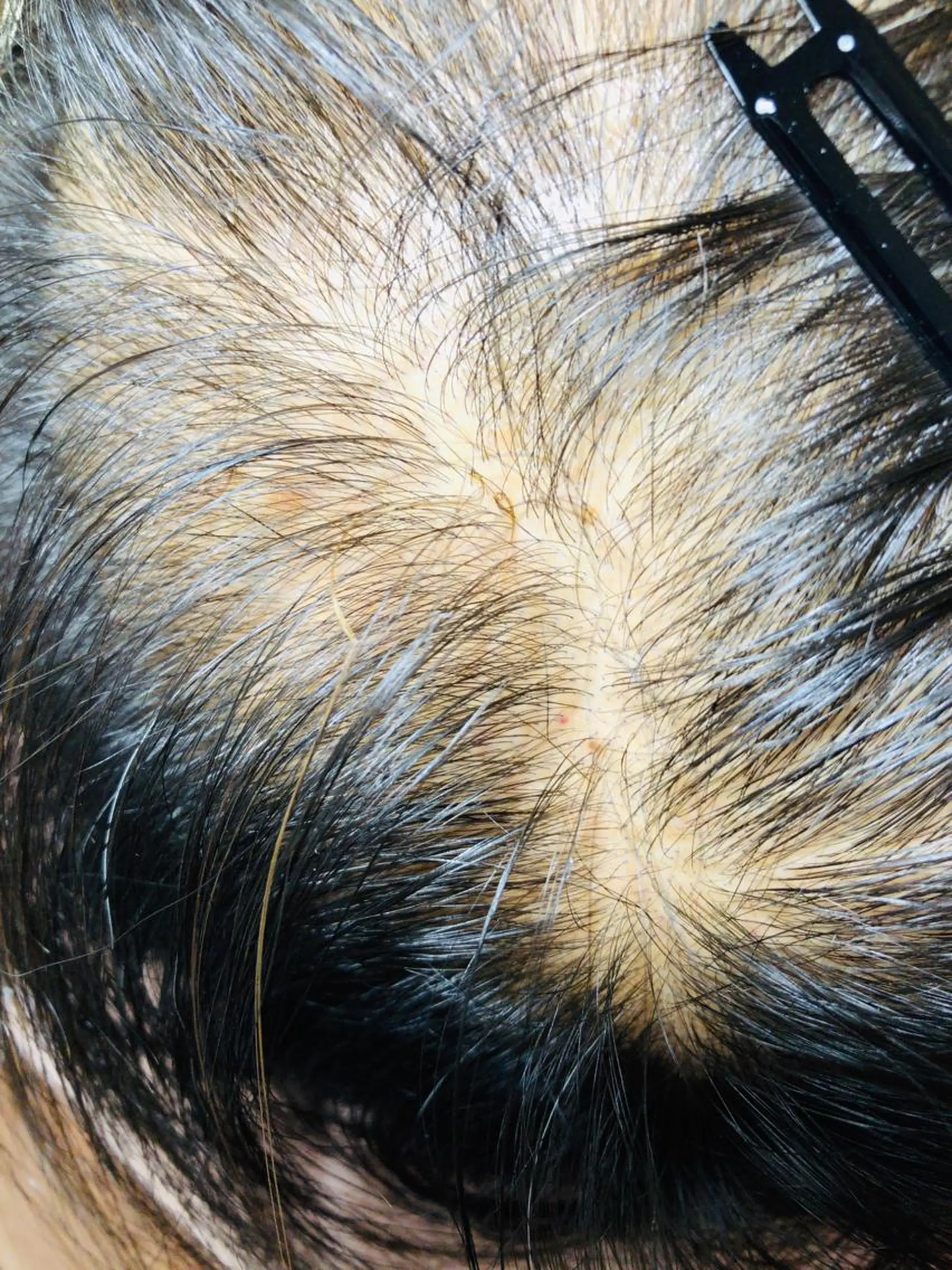 cocolush 神楽坂のマツエク・マツパデザイン