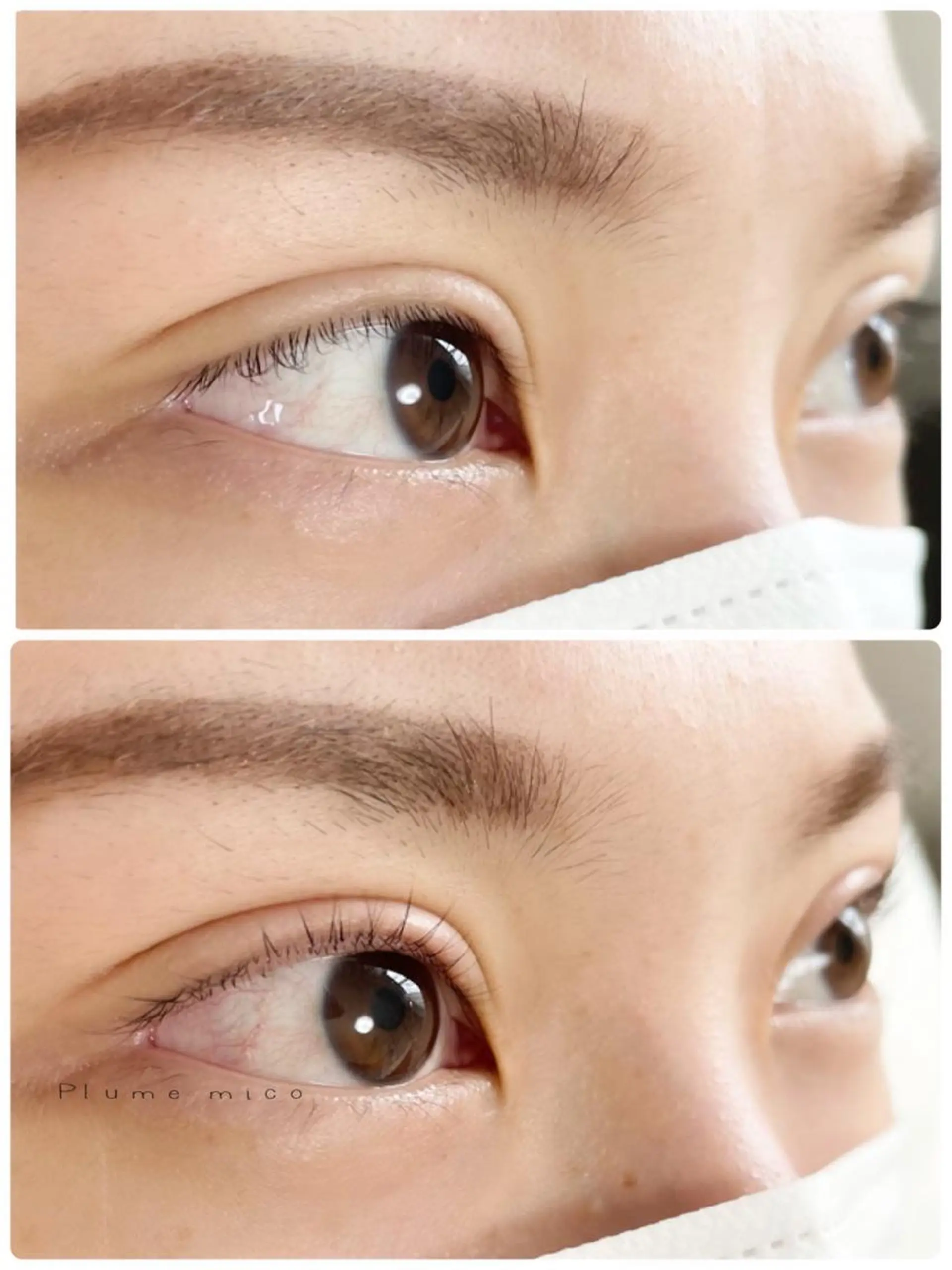 マツエク・マツパ マツパ Plume micoのマツエク・マツパデザイン