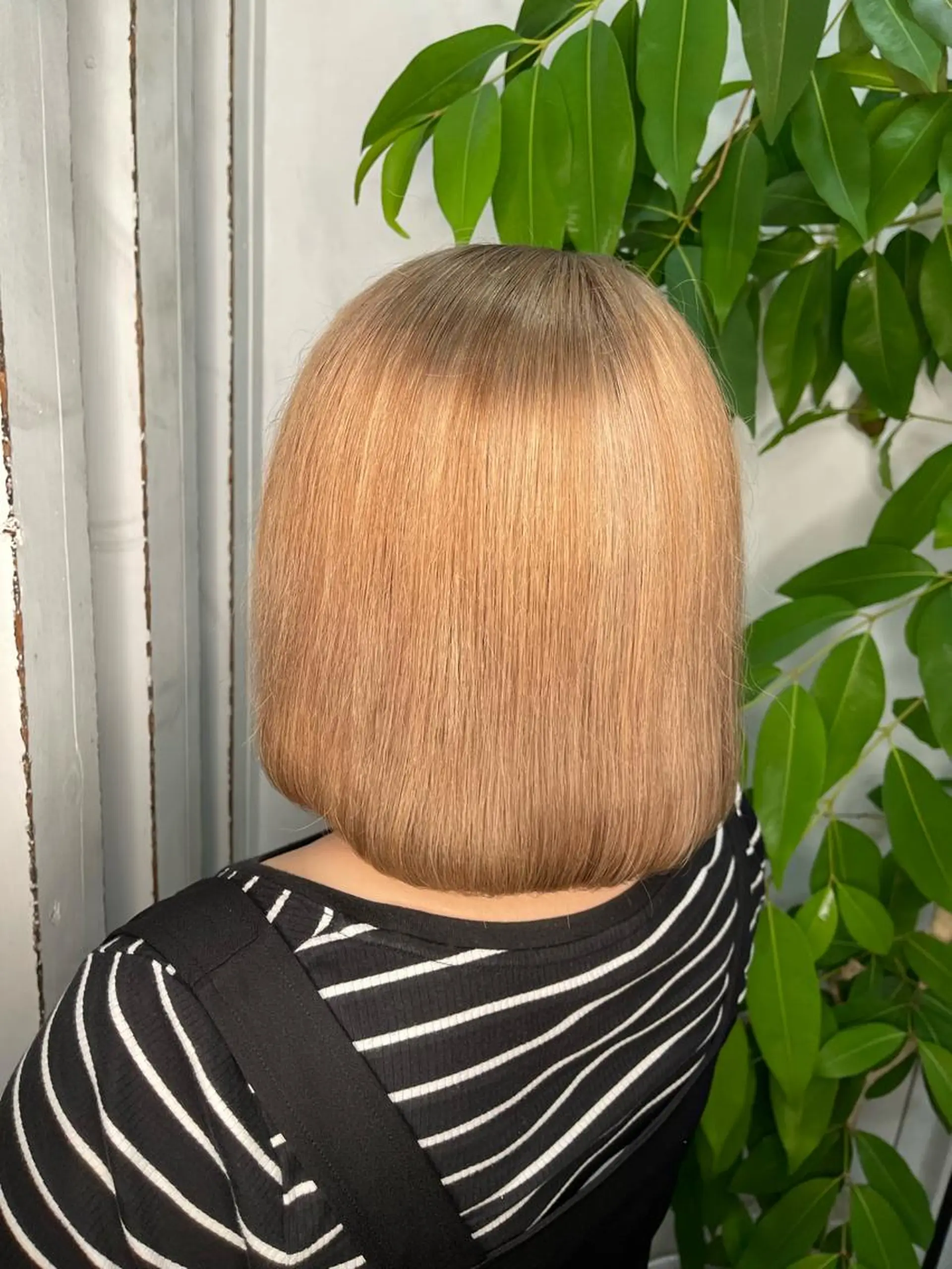 ショート カラー インナーカラー カット ヘアカラー トリートメント 🫧艶髪デザイナー 🫧白石航汰のヘアスタイル