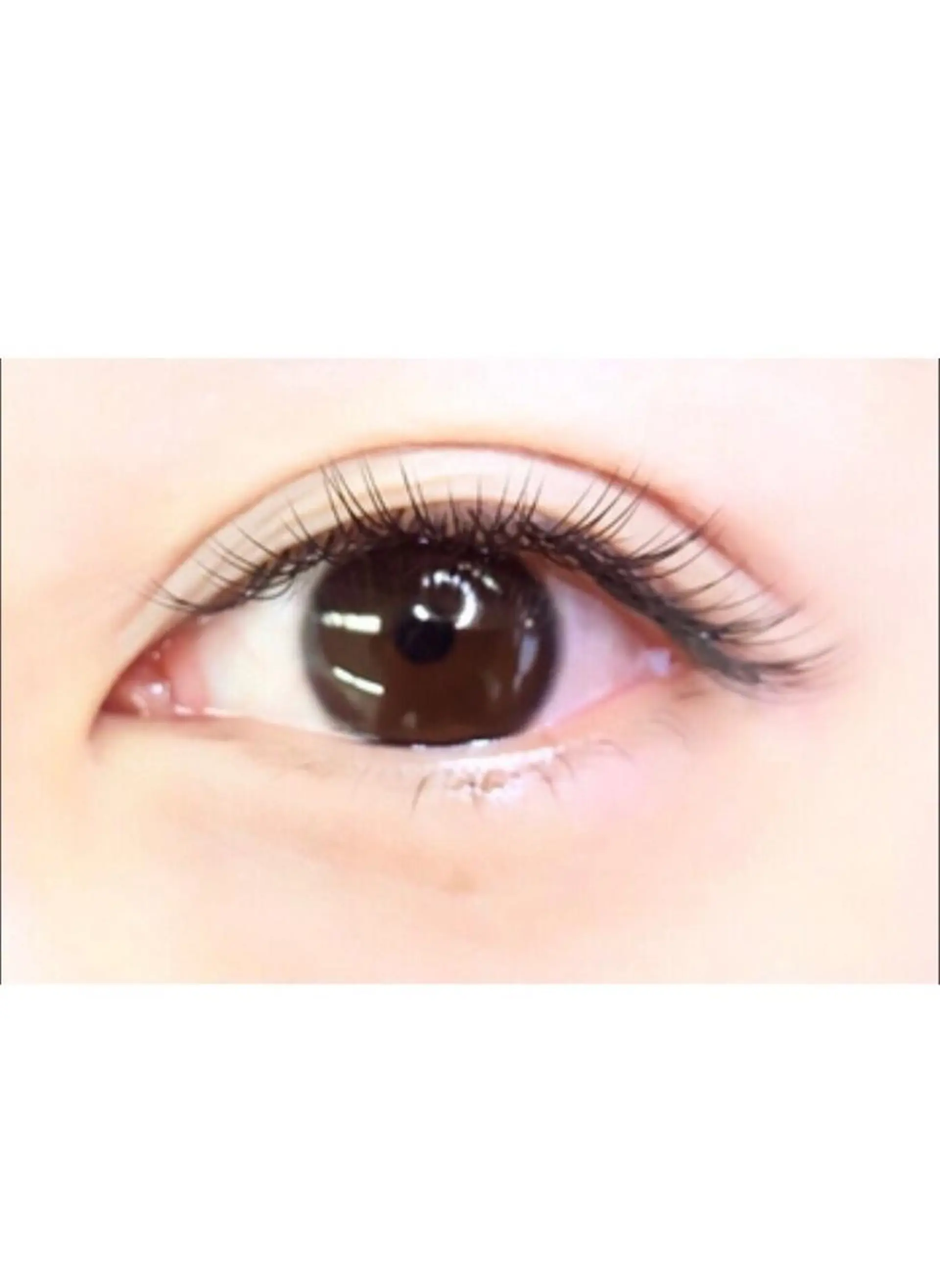 マツエク・マツパ Jカール クレセントアイ浜松店所属・クレセントアイ浜松店 赤堀の眉毛・アイブロウイメージ