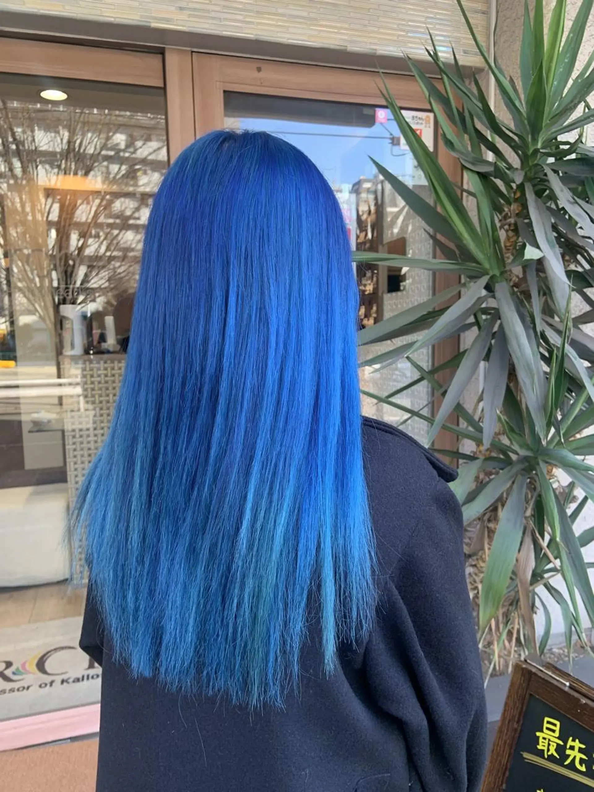 ロング カラー 🤍透明感/韓国風 🤍サクラギヒトミのヘアスタイル