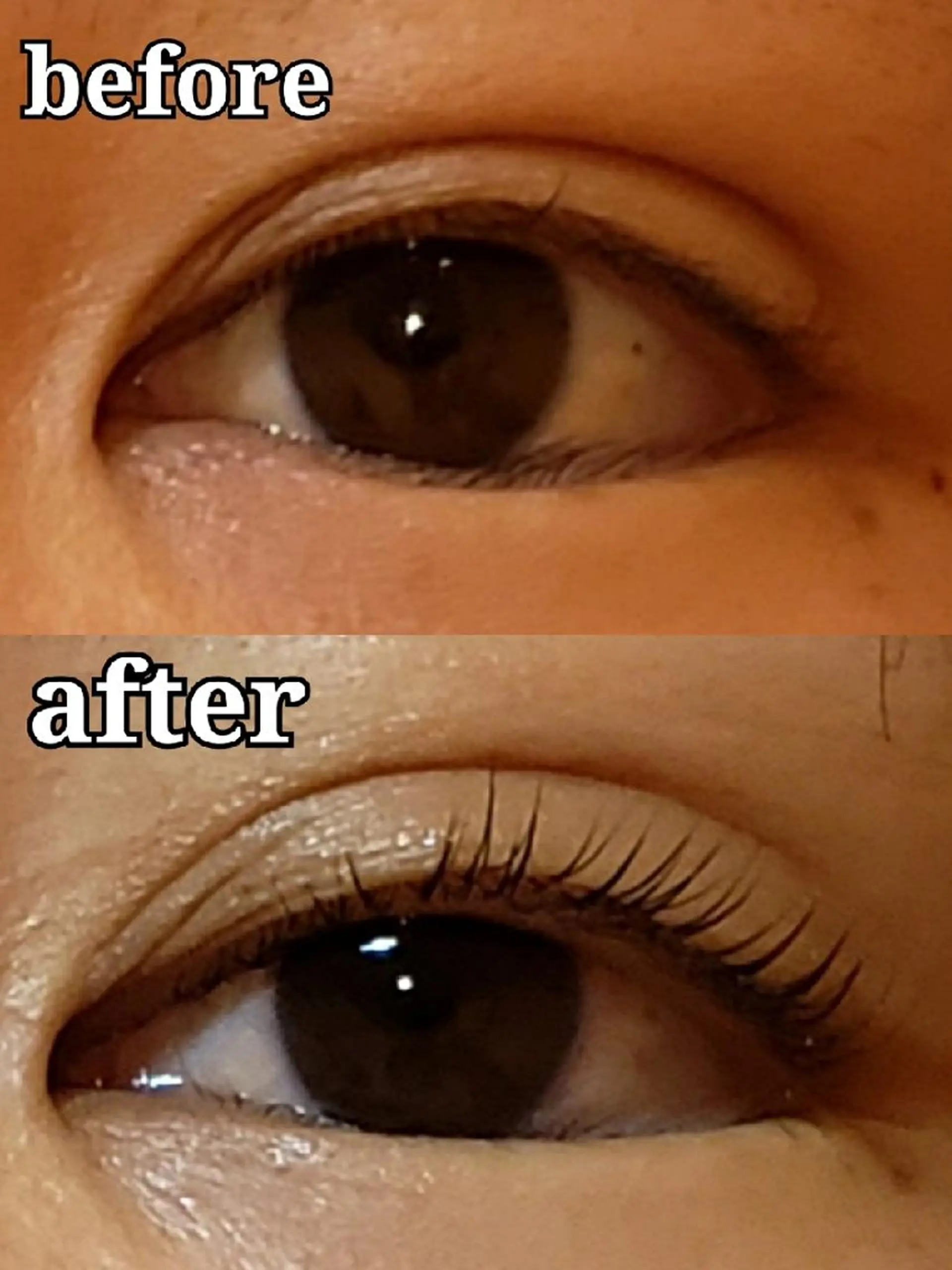 マツエク・マツパ ナチュラル 一重×まつ毛パーマ マツパ トータルビューティー  バルフィット所属・冨永 小絵のマツエク・マツパデザイン