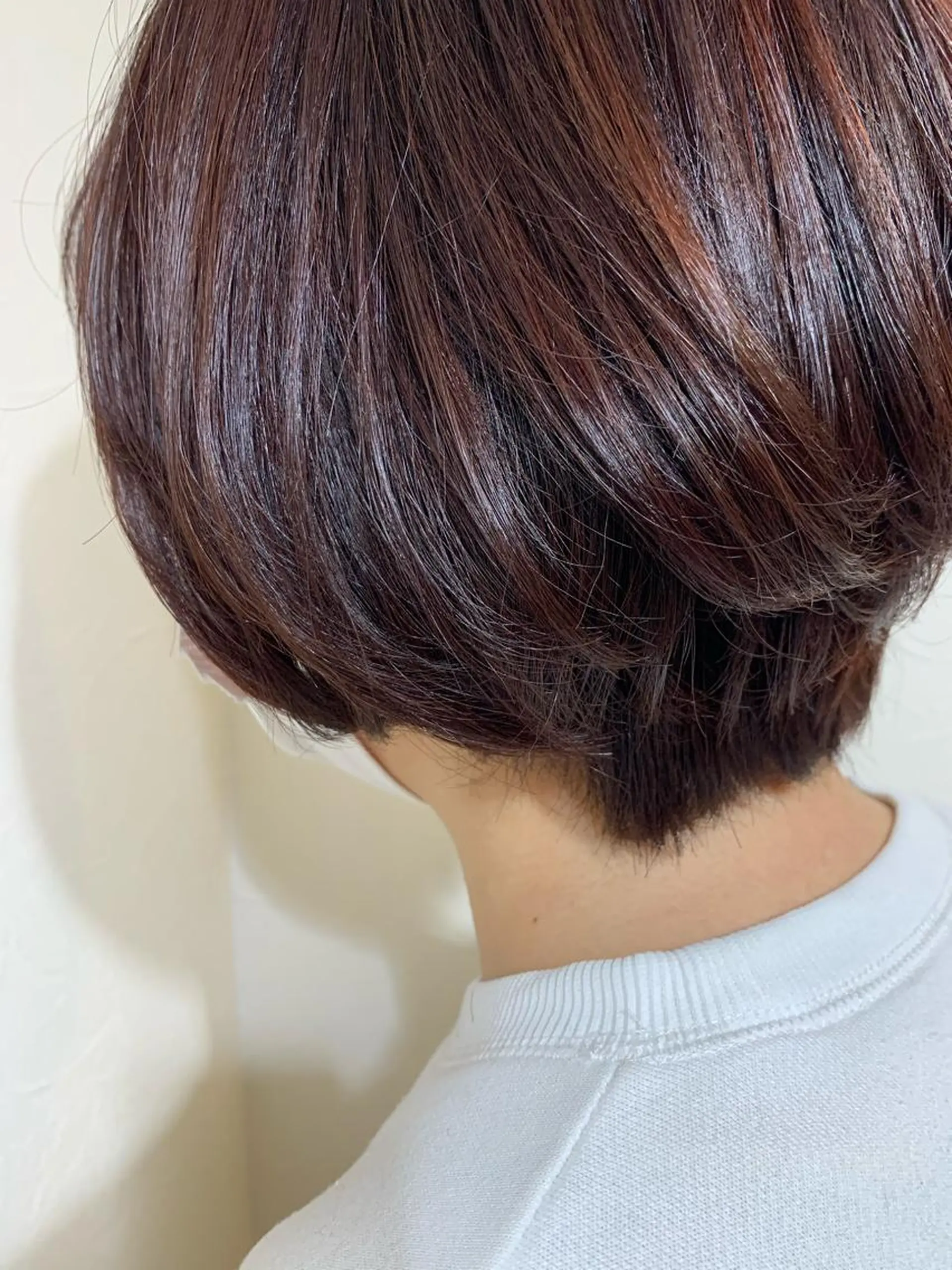 カラー 🌷星野 朱理🌷のヘアスタイル