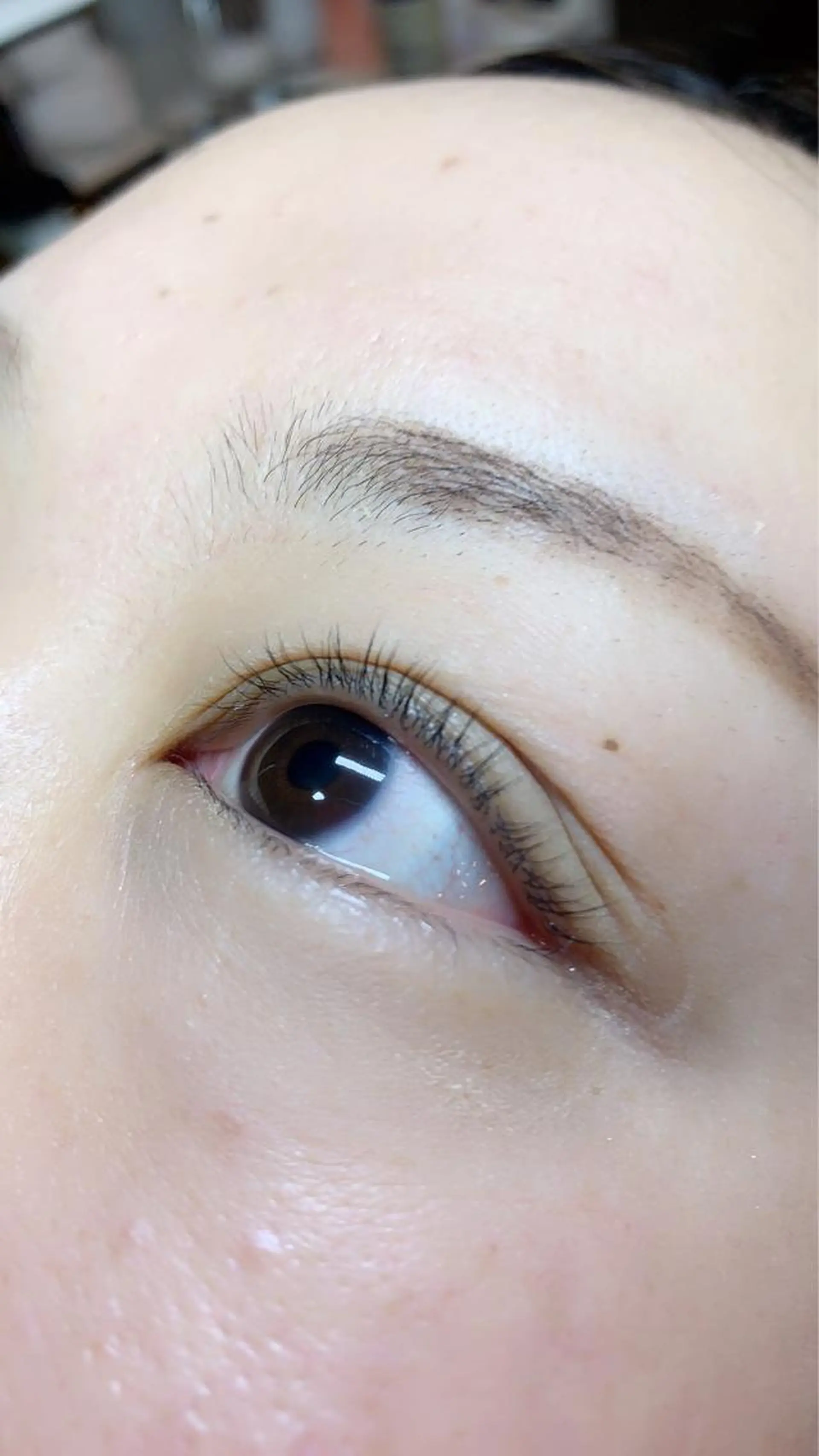 マツエク・マツパ lily mのマツエク・マツパデザイン