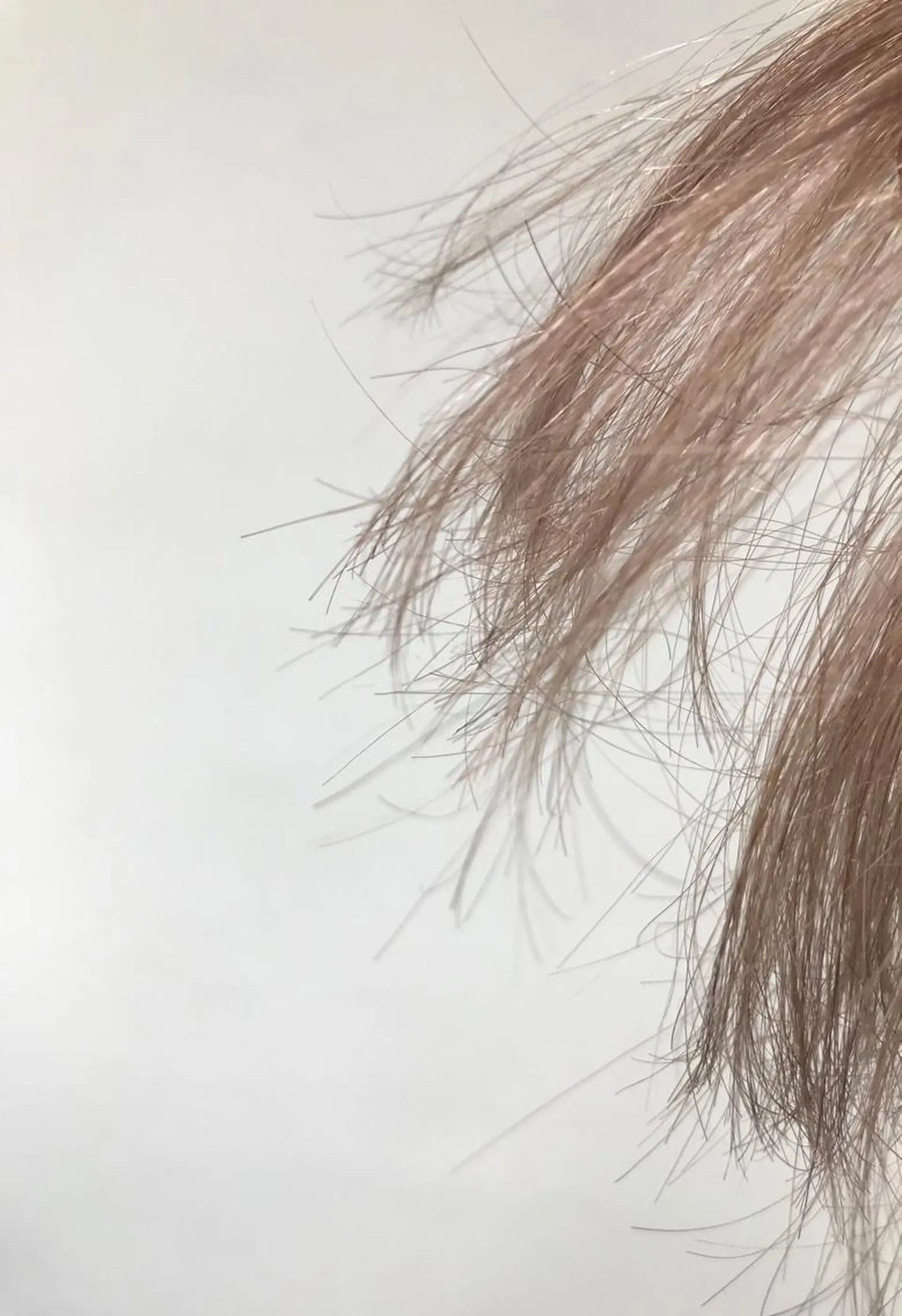 ショート カラー tonari 梅田、中崎町のヘアスタイル