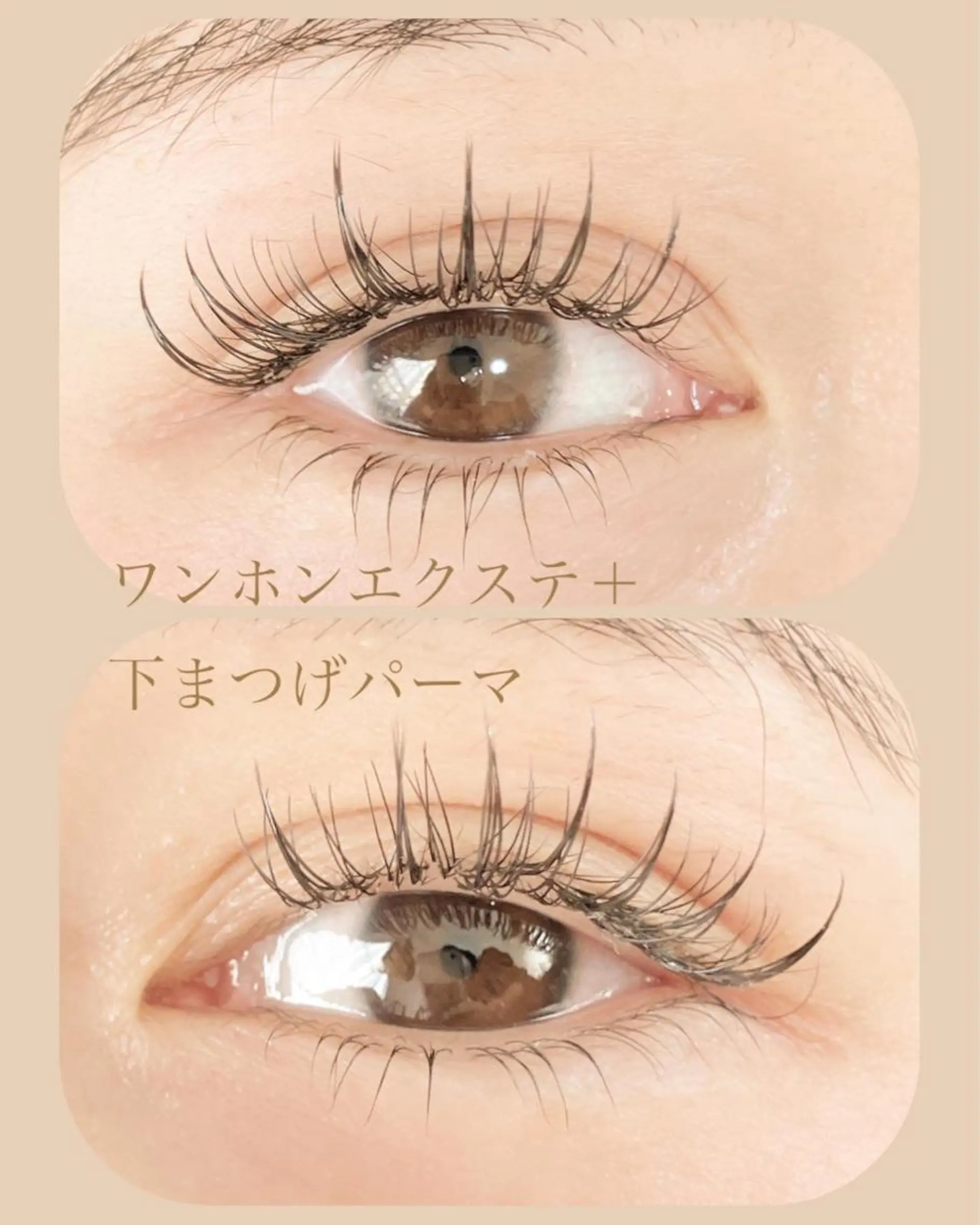 マツエク・マツパ まつげパーマ 下まつげエクステ ワンホンマツエク 戸田 早耶のマツエク・マツパデザイン
