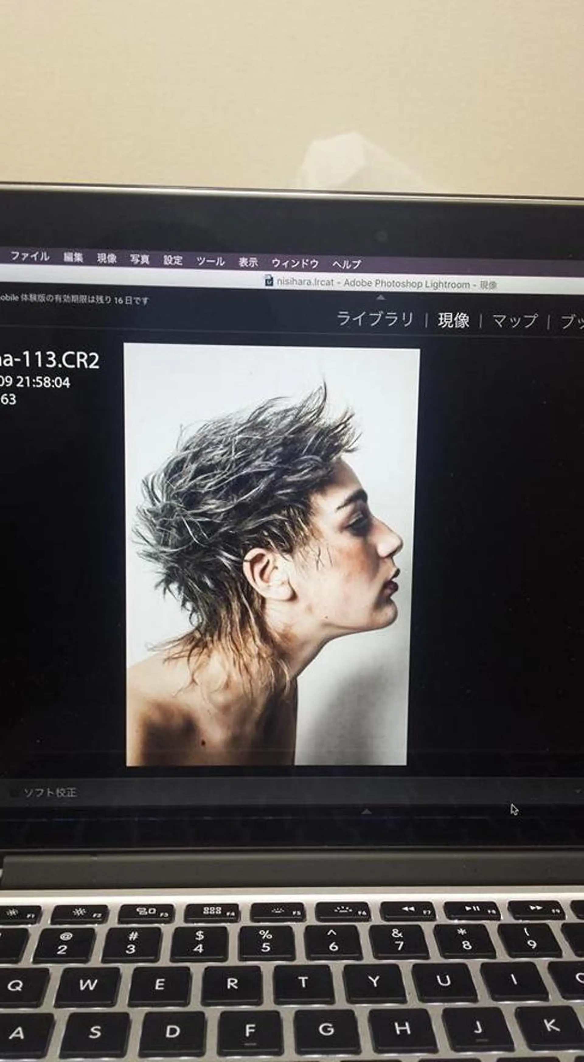 ショート 森 海のヘアスタイル