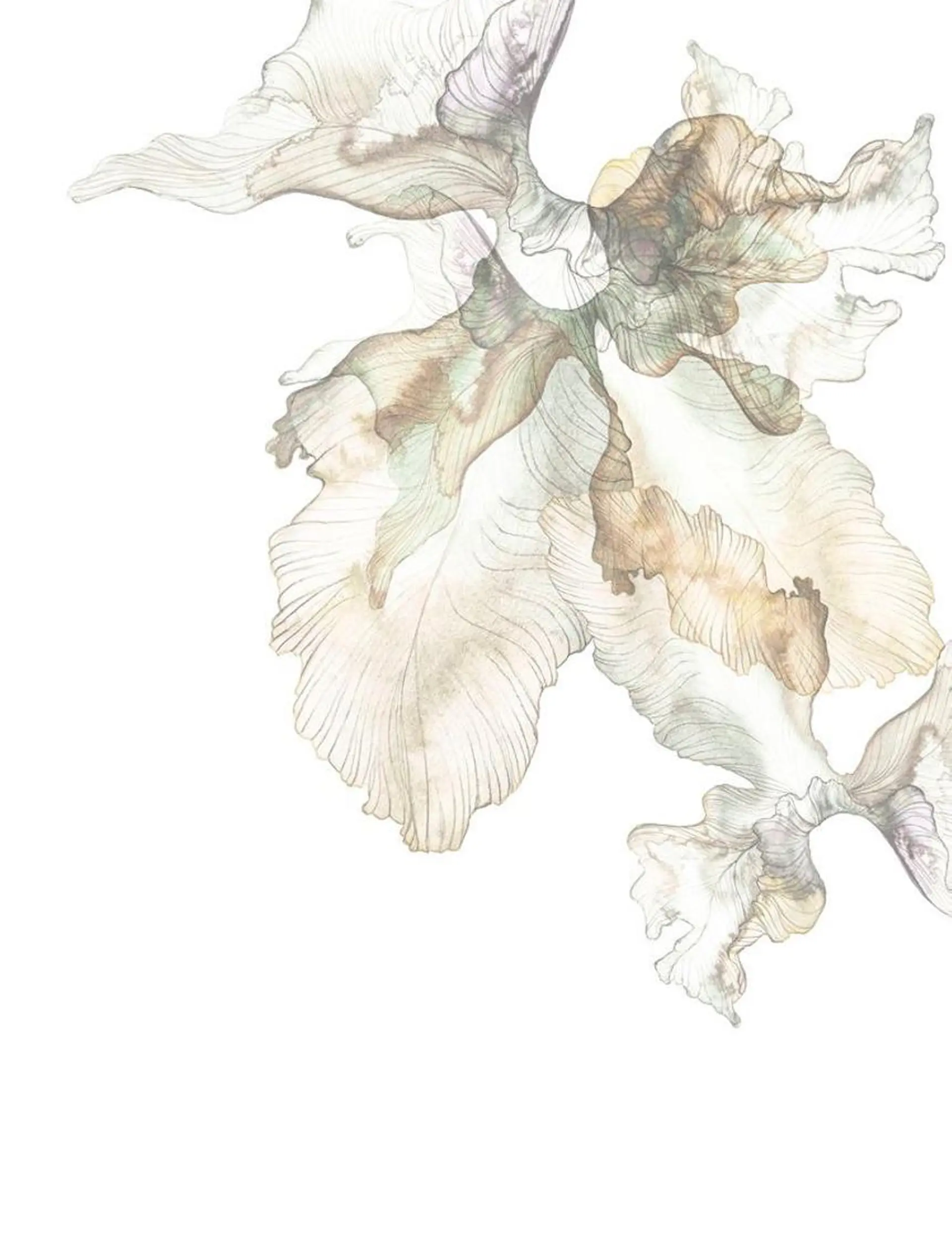 ネイル Lili beauty salon所属・Lilibeauty salonのネイルデザイン