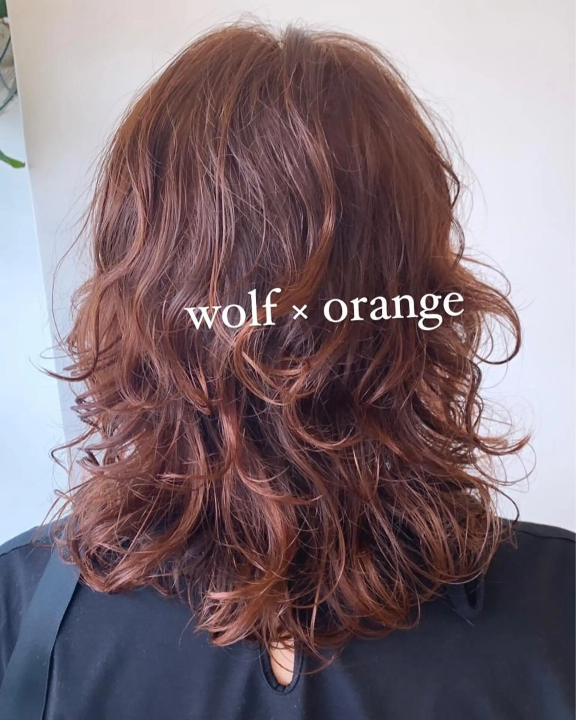 ミディアム ウルフカット カット パーマ milis 知崎春奈のヘアスタイル