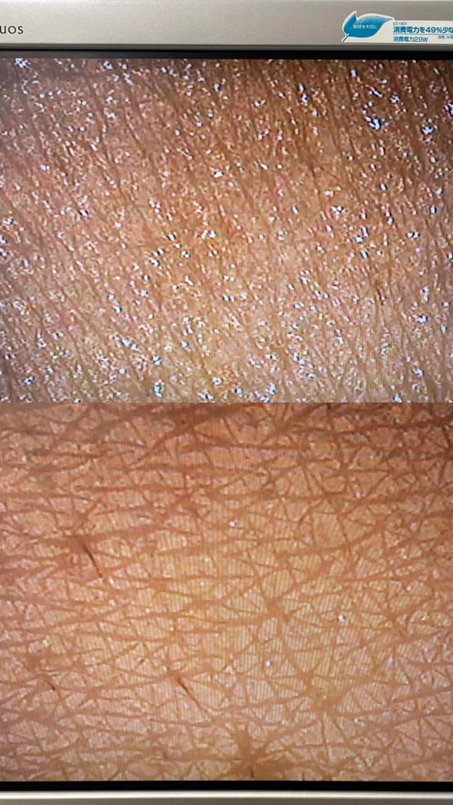 肌育成サロンcoco.A(ココアンジュ)所属・美肌コンサルタント/ 小西晴日のエステ・リラクイメージ