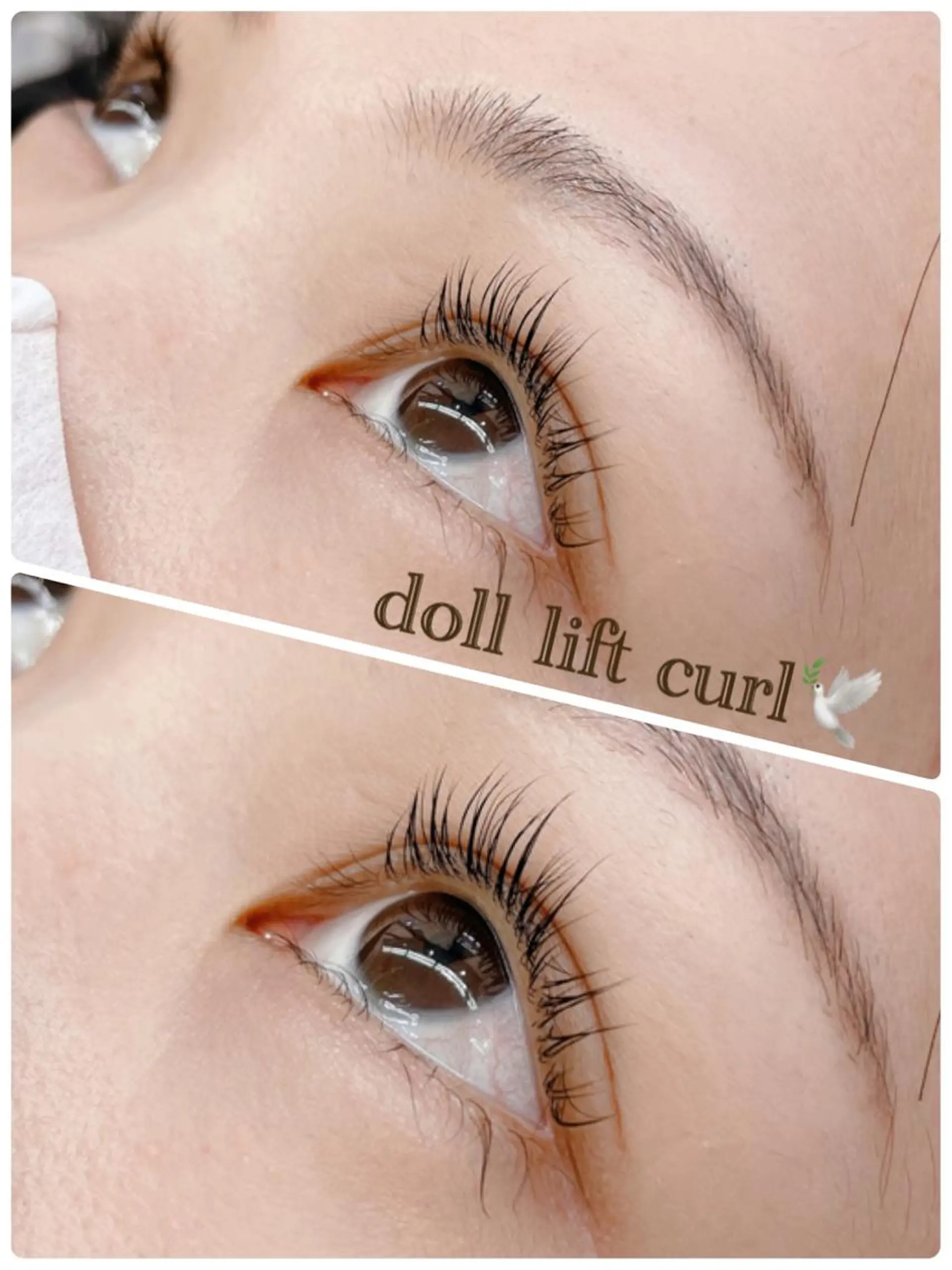 マツエク・マツパ WE RULE 札幌店 【ウィールール 札幌店】所属・✨️大人ショート 髙橋朋花のヘアスタイル