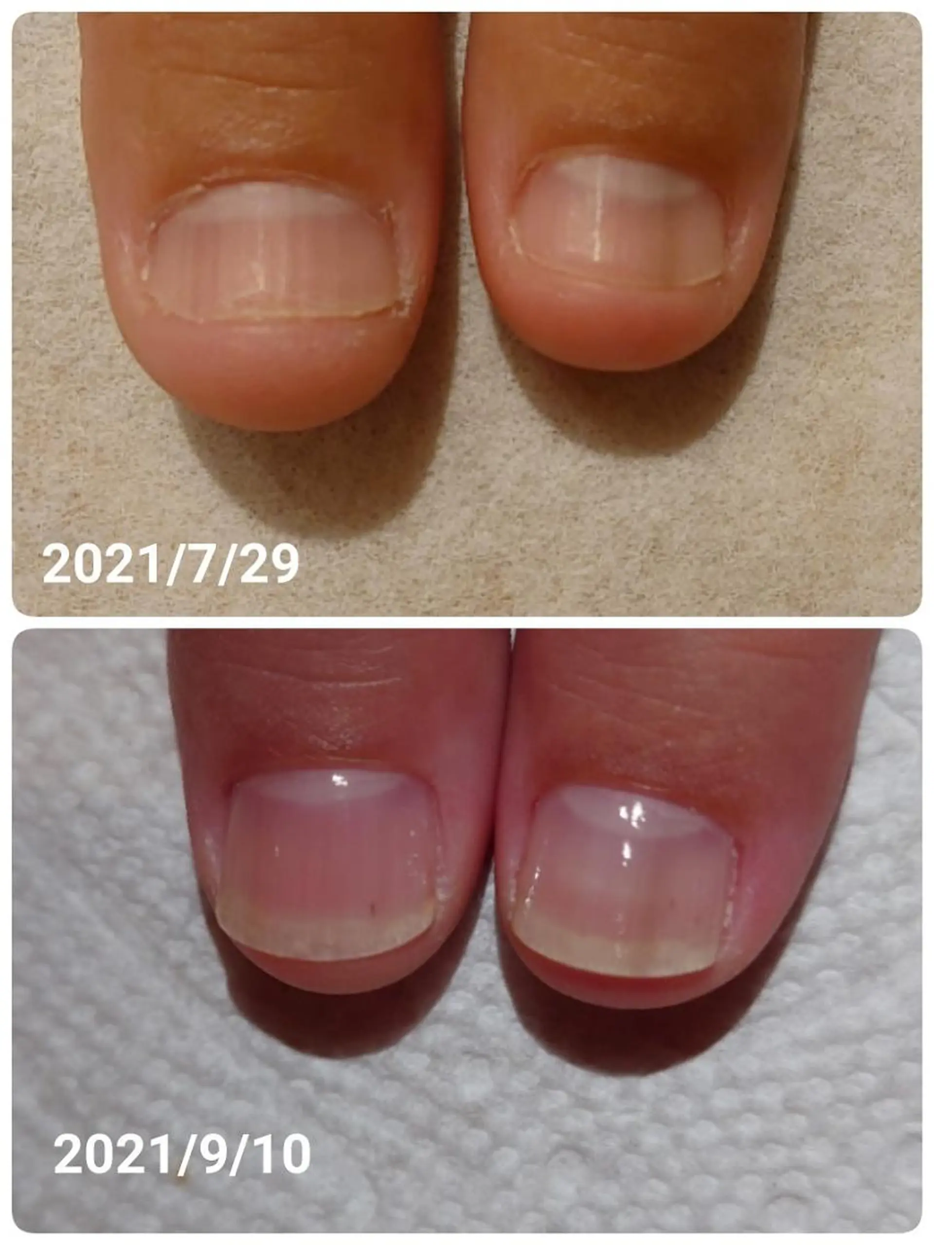 ネイル Fine Valentのマツエク・マツパデザイン