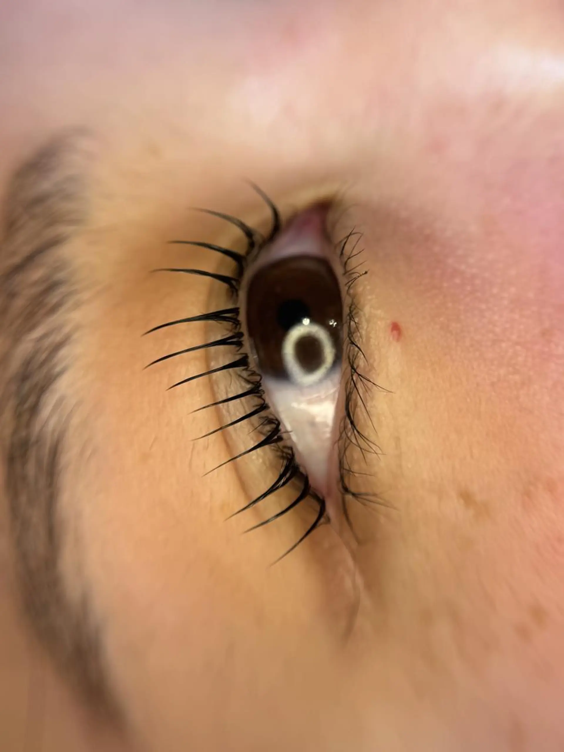 マツエク・マツパ gioia スタッフのマツエク・マツパデザイン