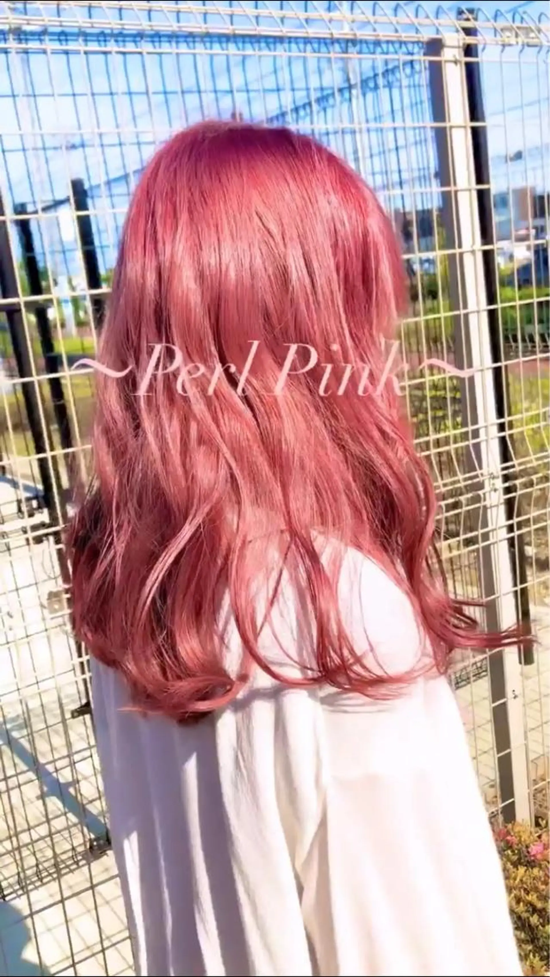 セミロング 太白区白髪ぼかし/ ボブカット/千葉達人のヘアスタイル