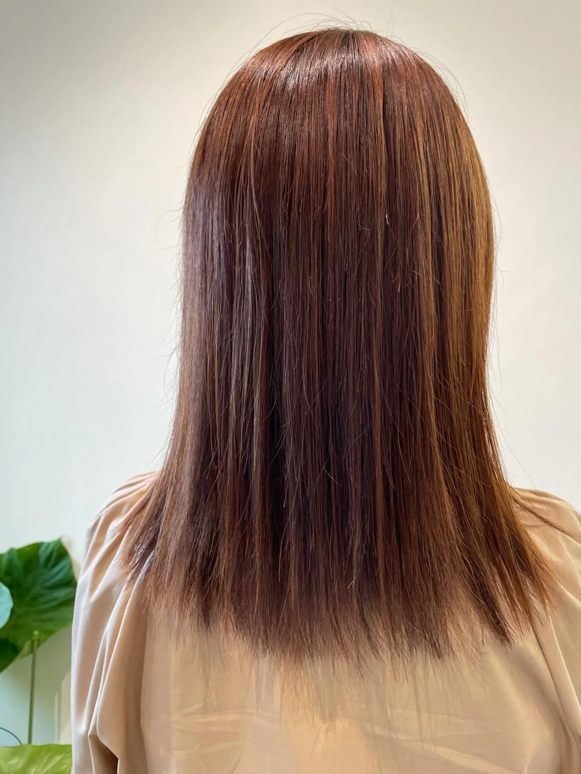 ミディアム 縮毛矯正 ボブ/インナーカラー /眉毛/Miyuのヘアスタイル