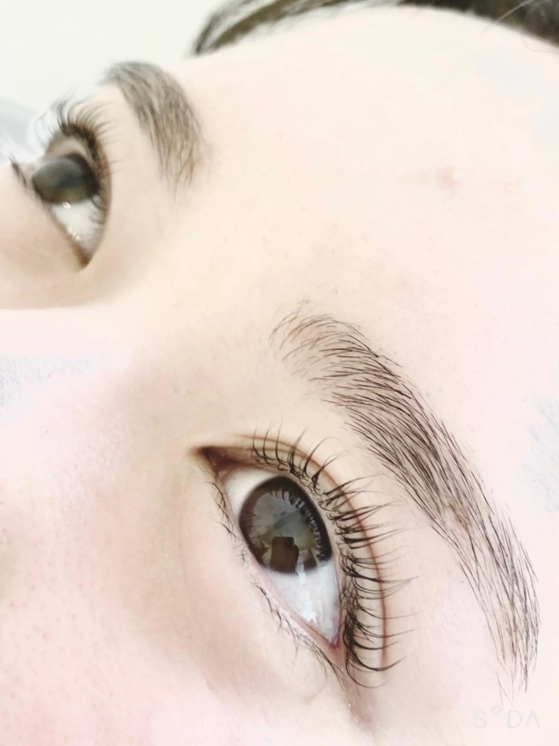 マツエク・マツパ Fura Cocoのマツエク・マツパデザイン