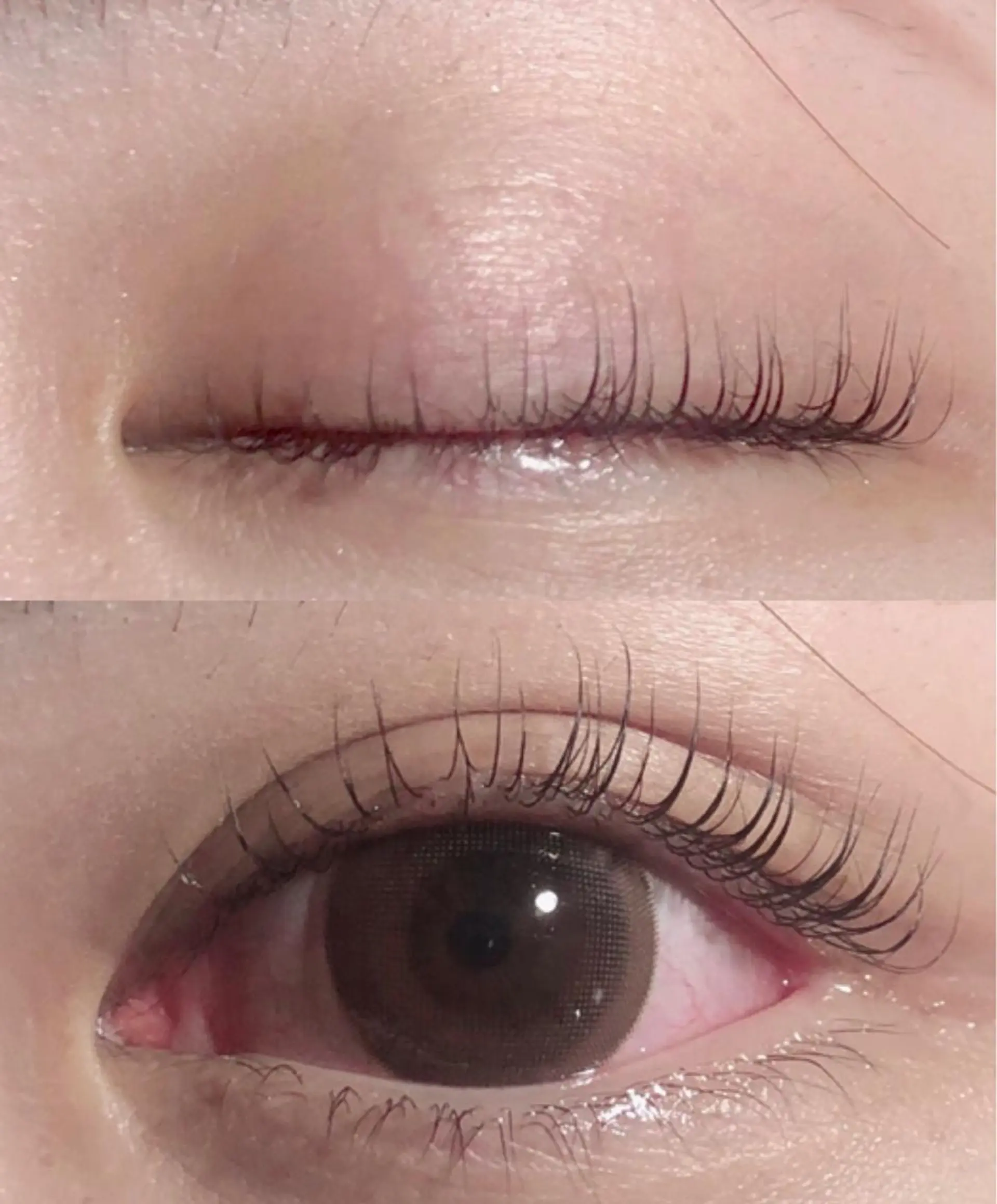 マツエク・マツパ Favori 山下のマツエク・マツパデザイン