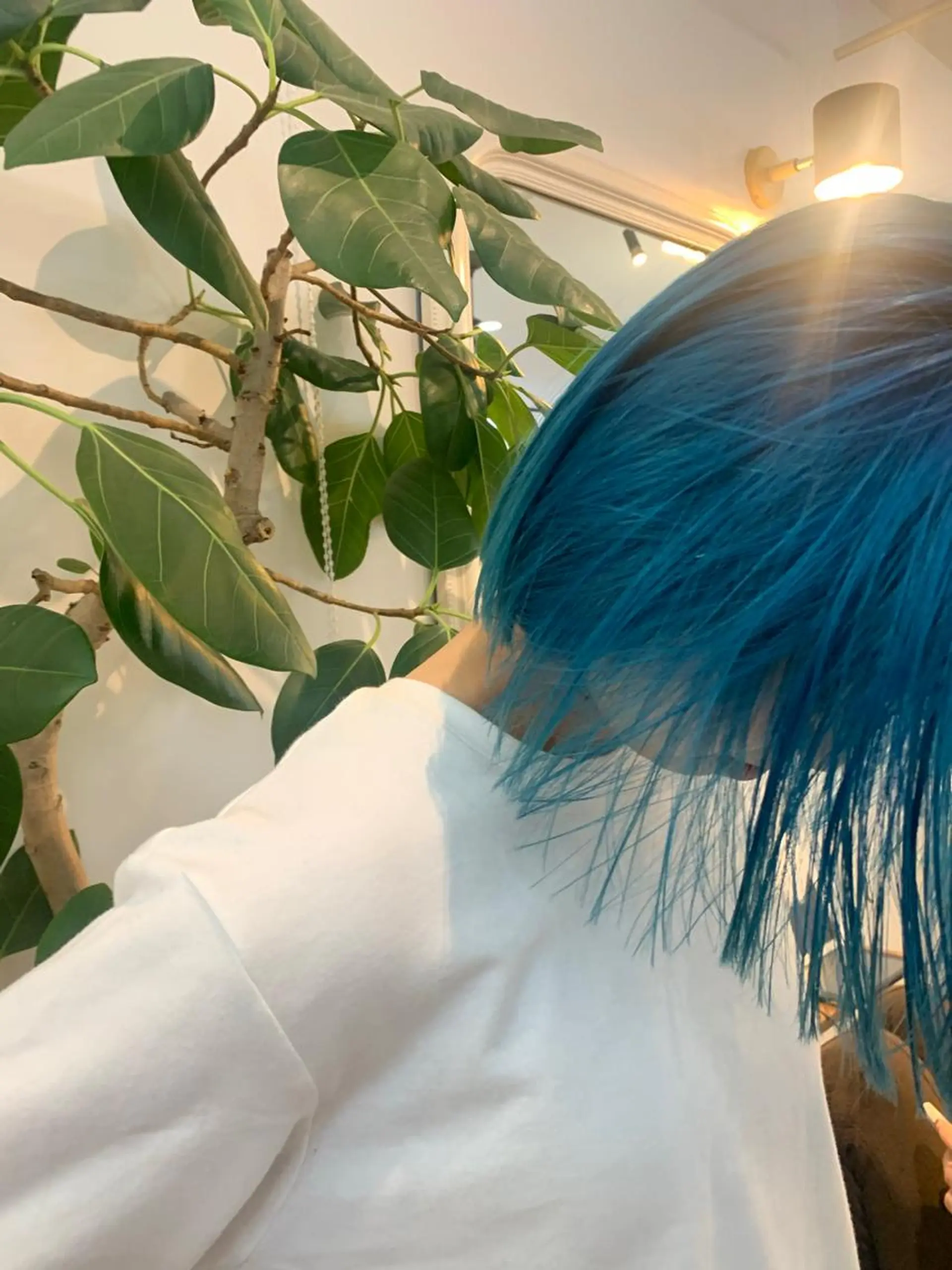 ショート カラー ボブ/ハイトーン REINAのヘアスタイル