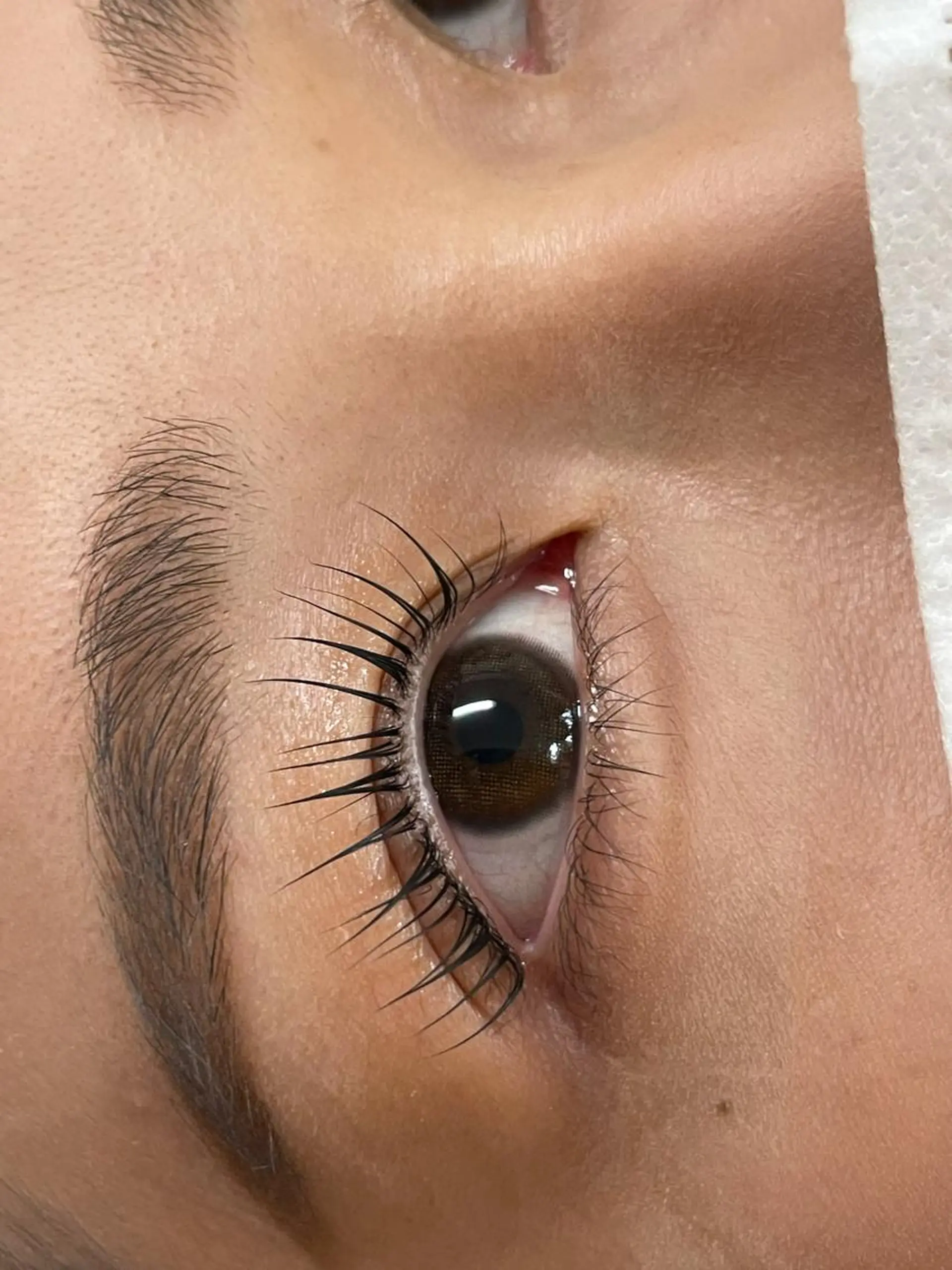 マツエク・マツパ La:coptA (ラ・コプタ)のマツエク・マツパデザイン