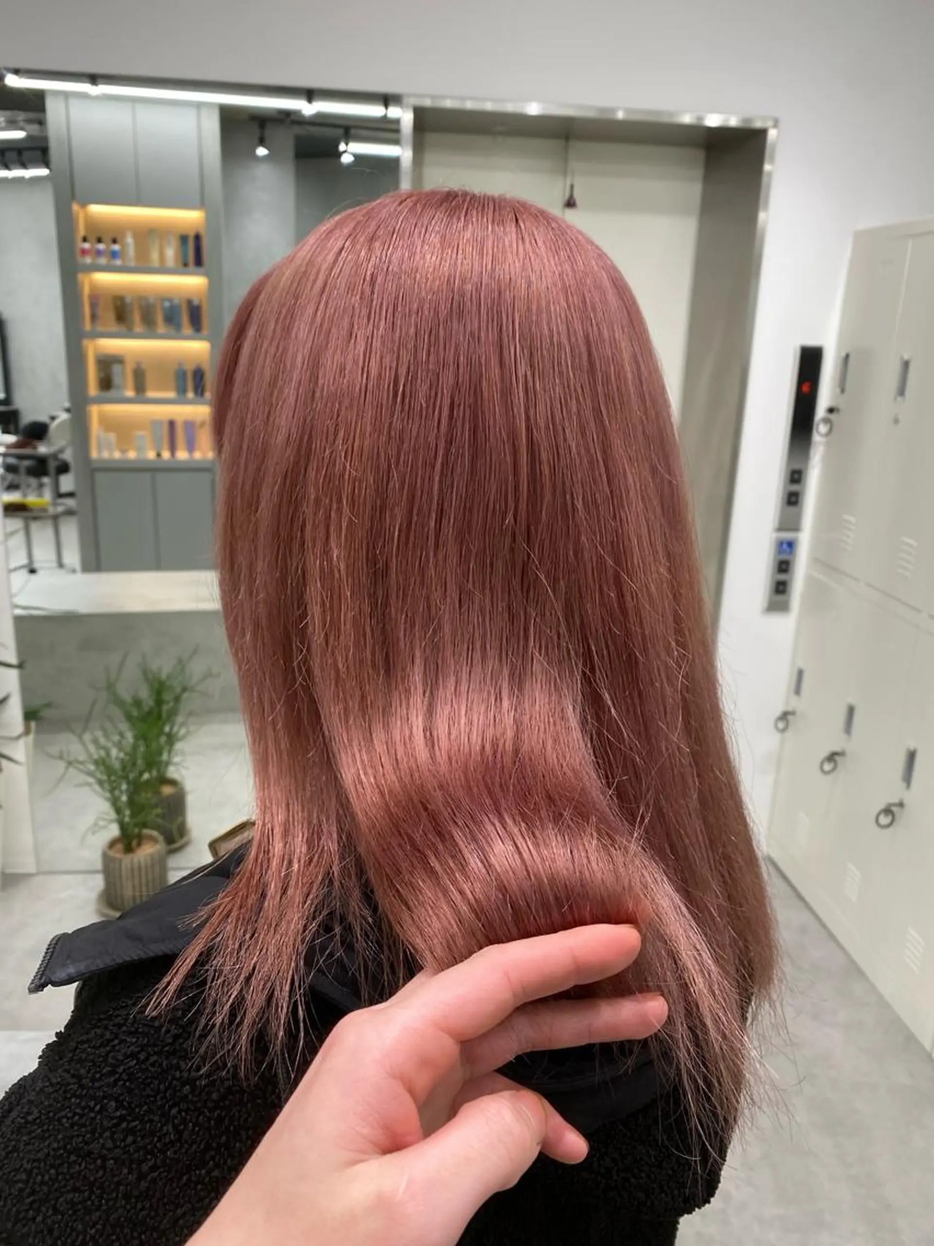 ミディアム カラー トリートメント ウルフ🐺/ボブ ハイトーン🌈/増田のヘアスタイル