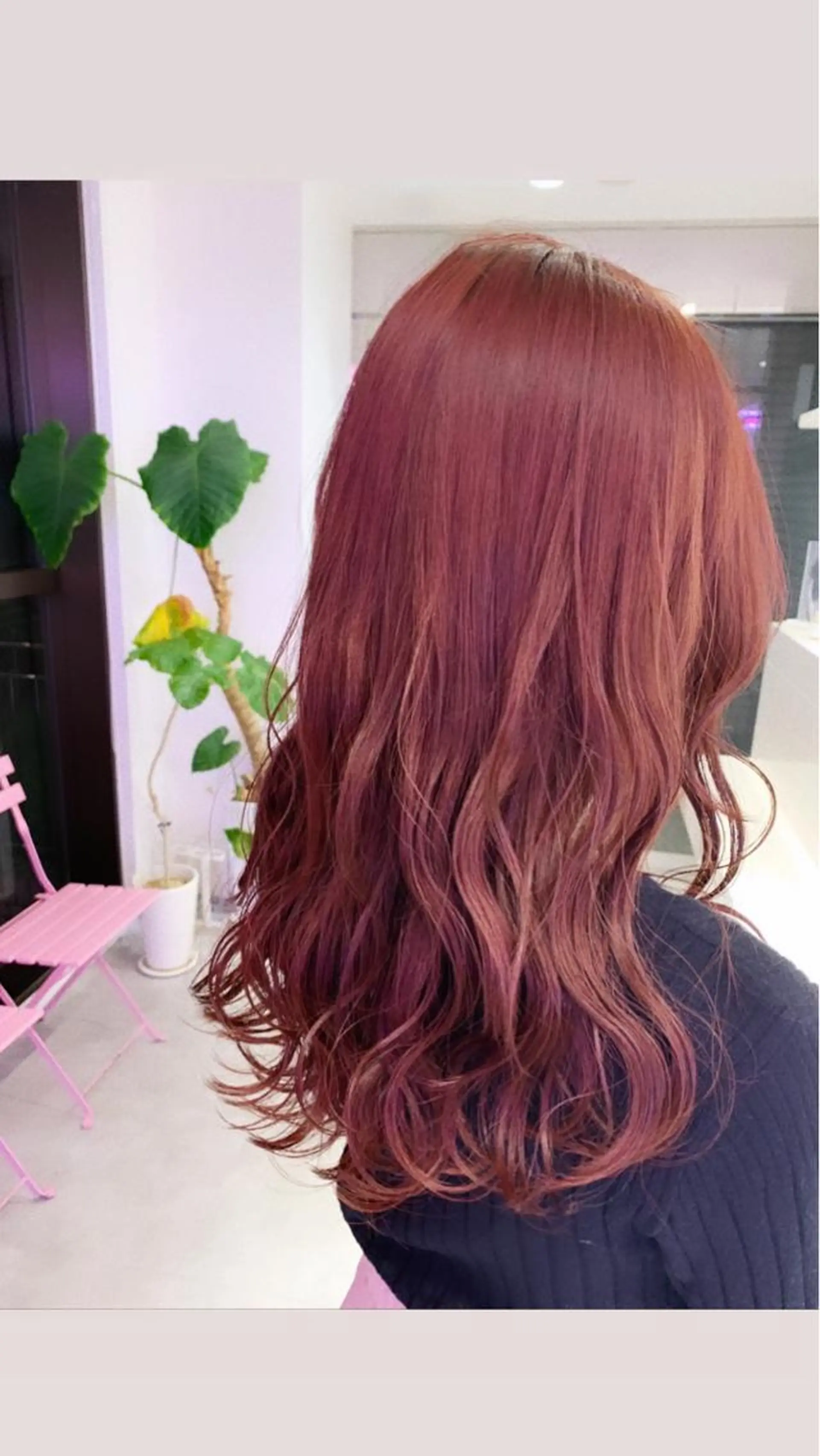 セミロング カラー ハイトーン/ウルフ /小澤凌祐🦕のヘアスタイル