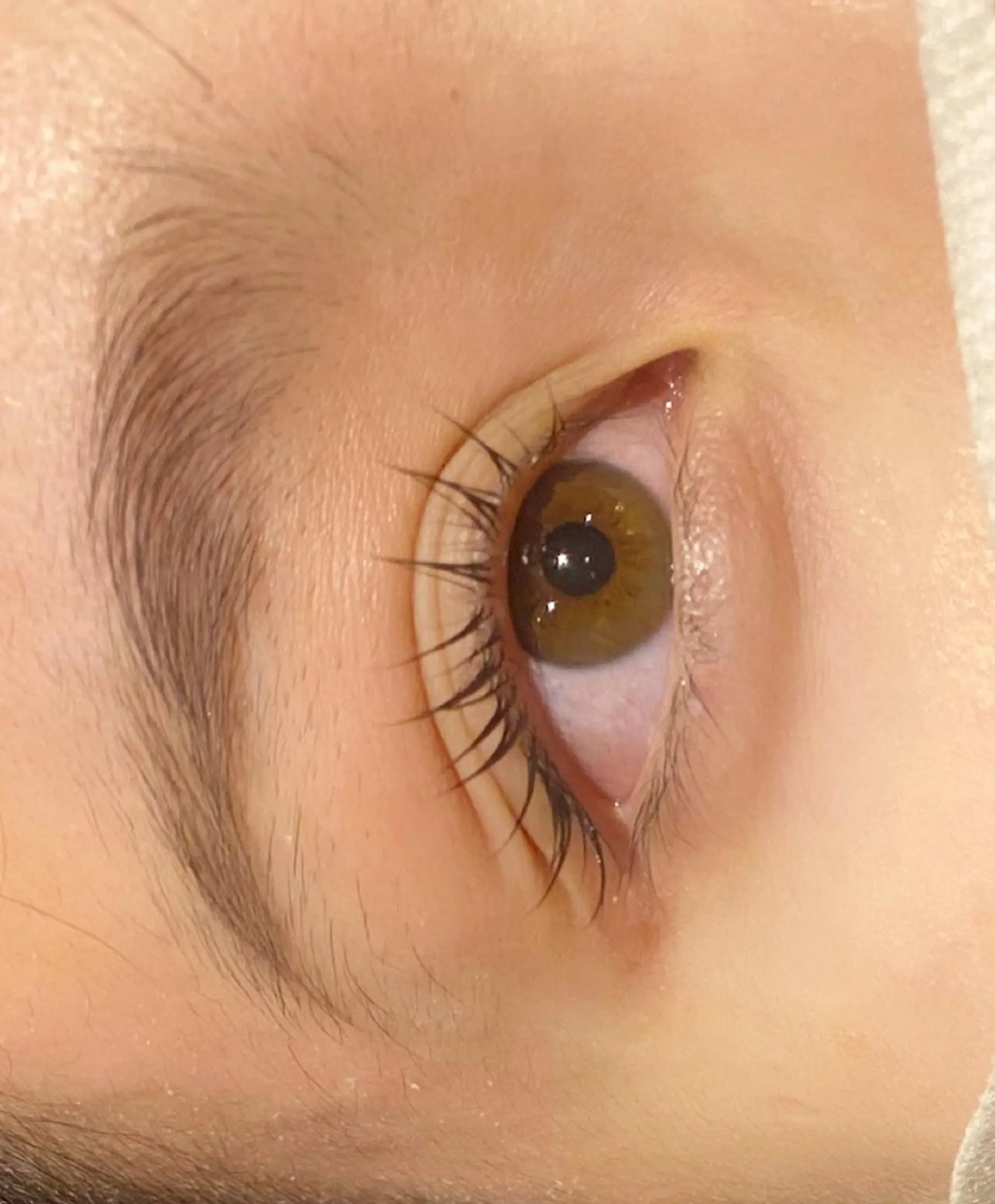 マツエク・マツパ まつげパーマ なかがわ せいかのマツエク・マツパデザイン