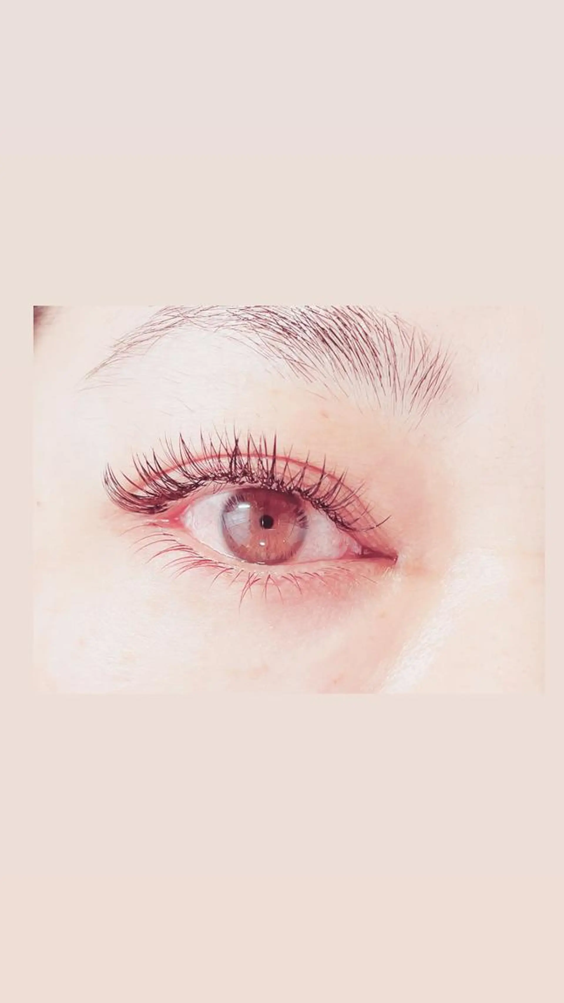 マツエク・マツパ Lotus.所属・Lotus. makoのエステ・リラクイメージ