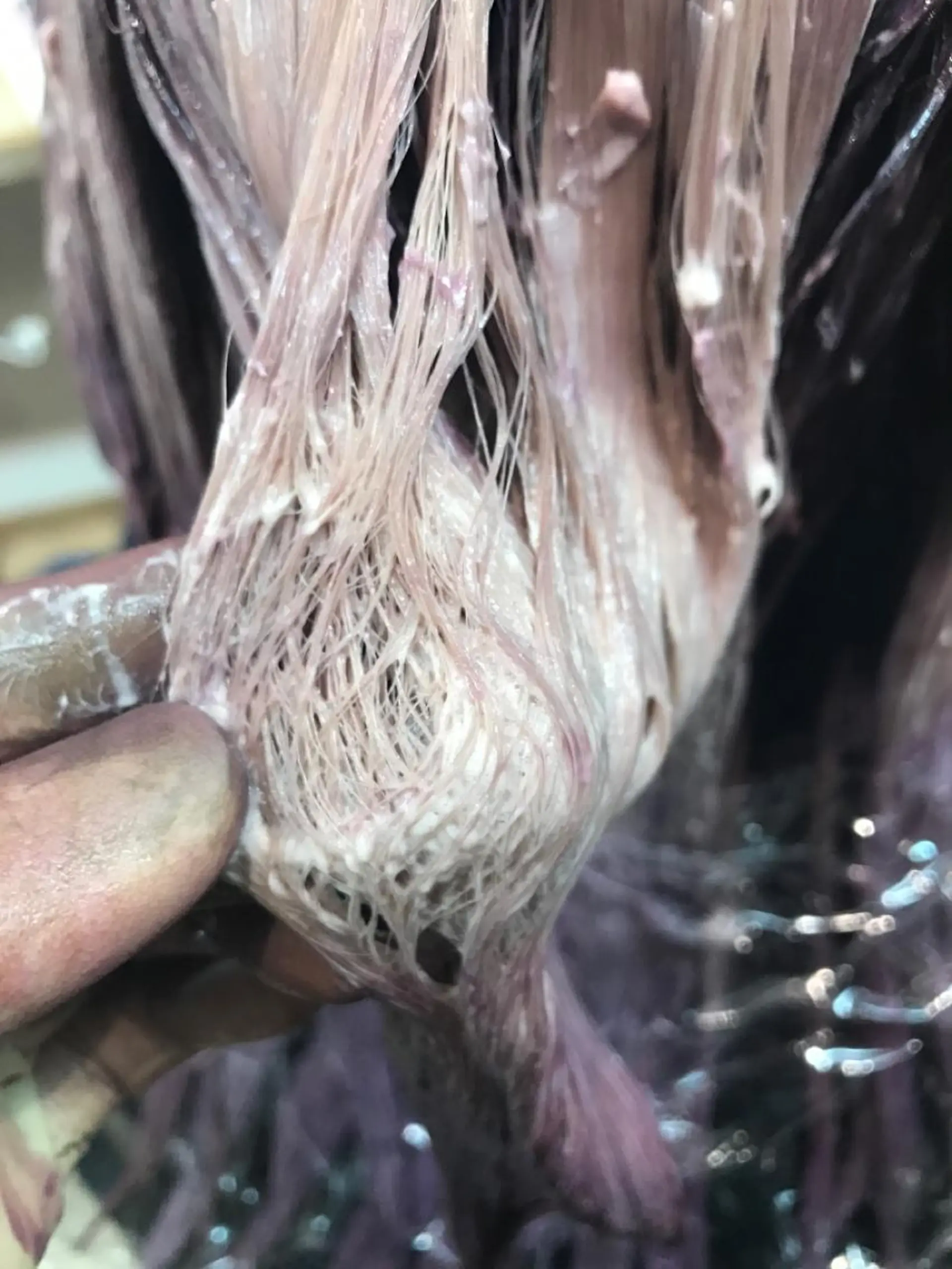 カラー さこだ　しょうた 【副店長】のヘアスタイル