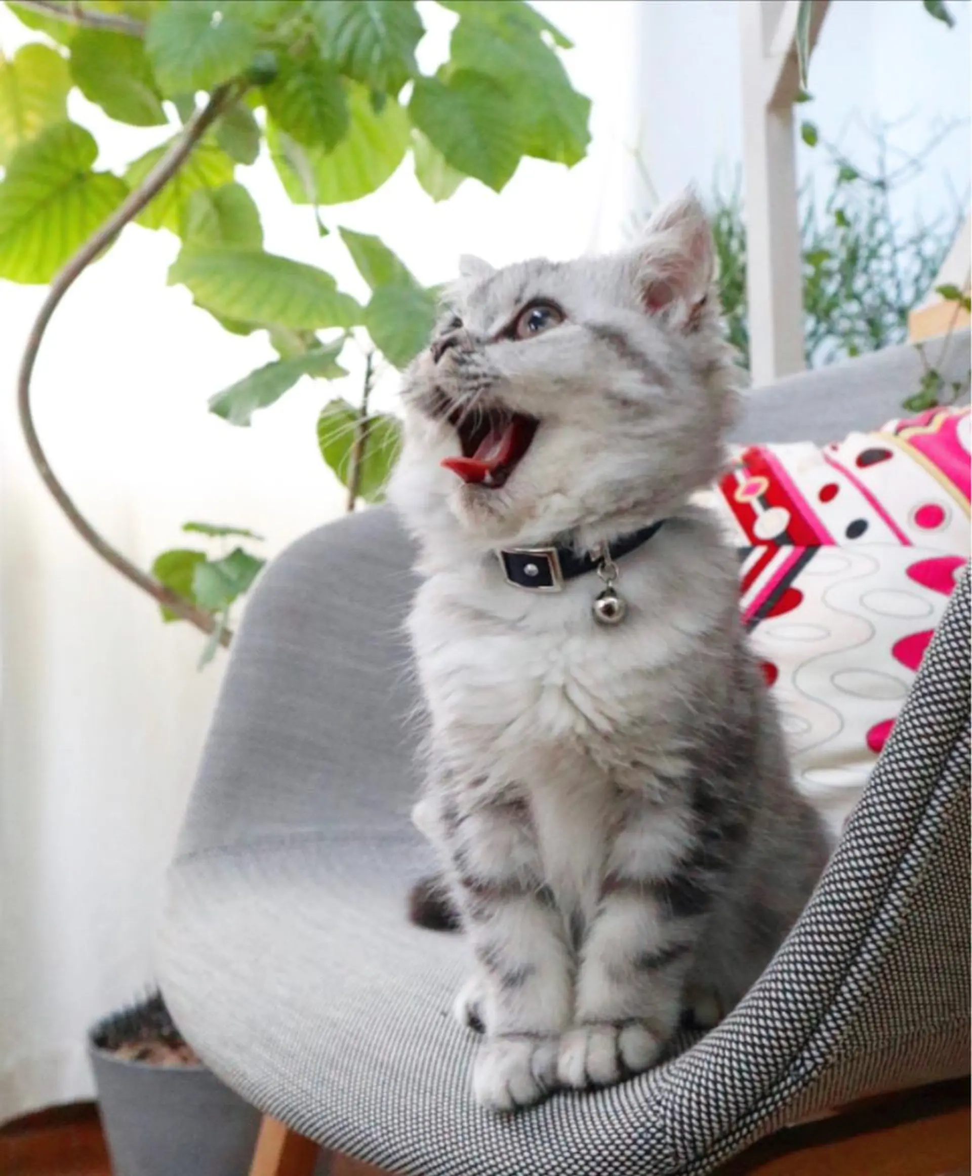 RENsalon大阪 体質改善リトリートのエステ・リラクイメージ