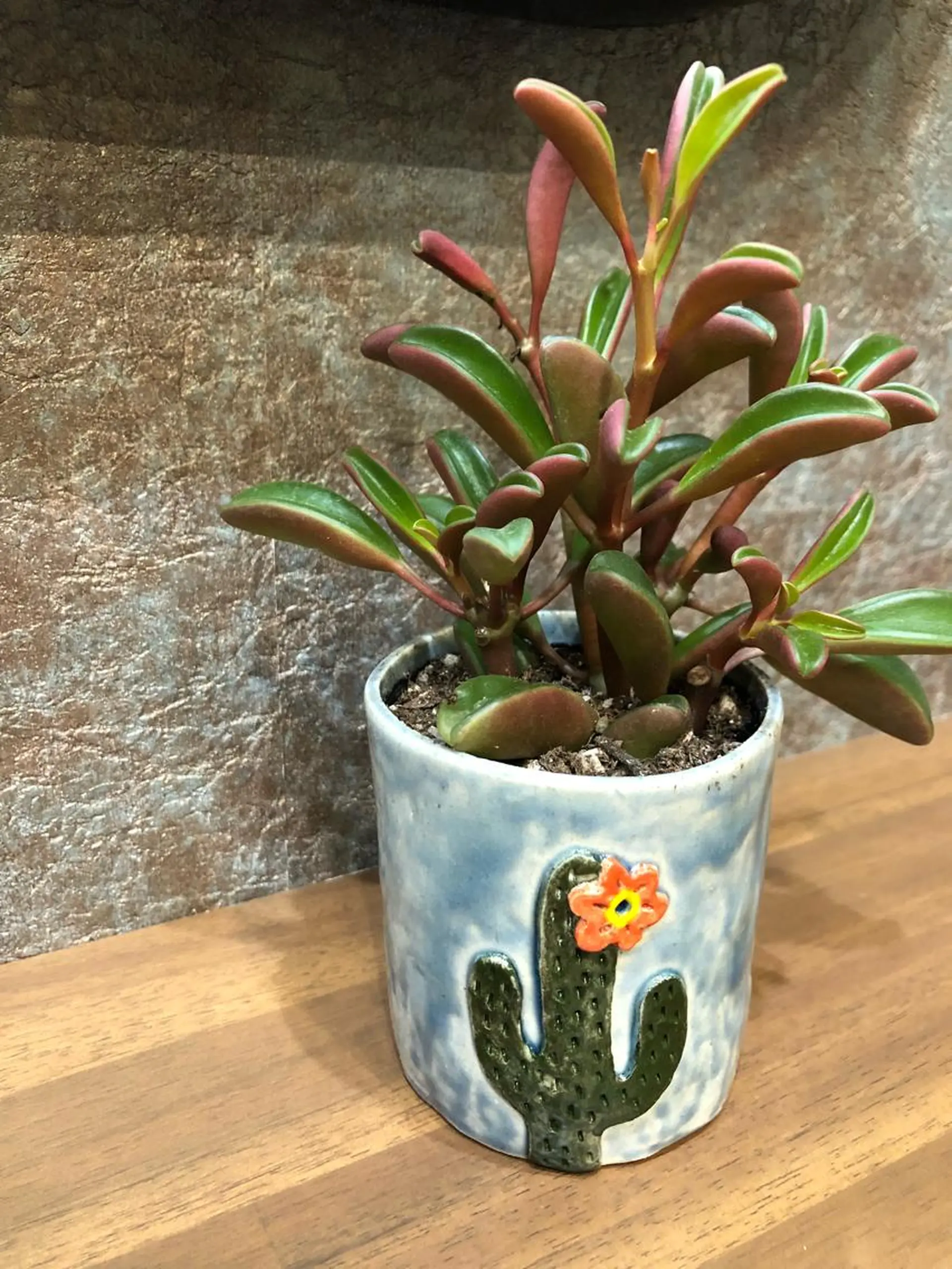 野咲き 美容室のマツエク・マツパデザイン