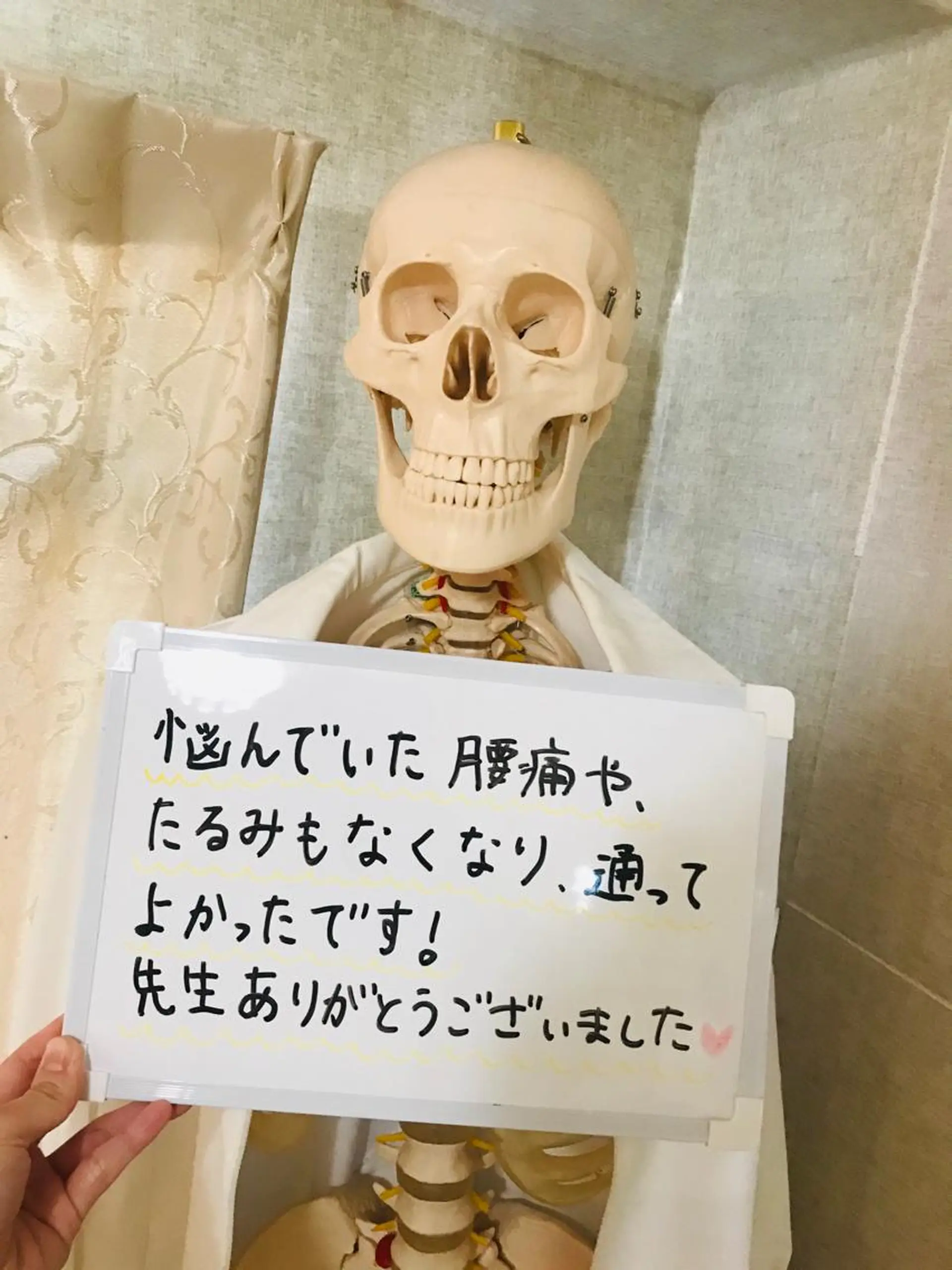 佐藤 めぐみの眉毛・アイブロウイメージ