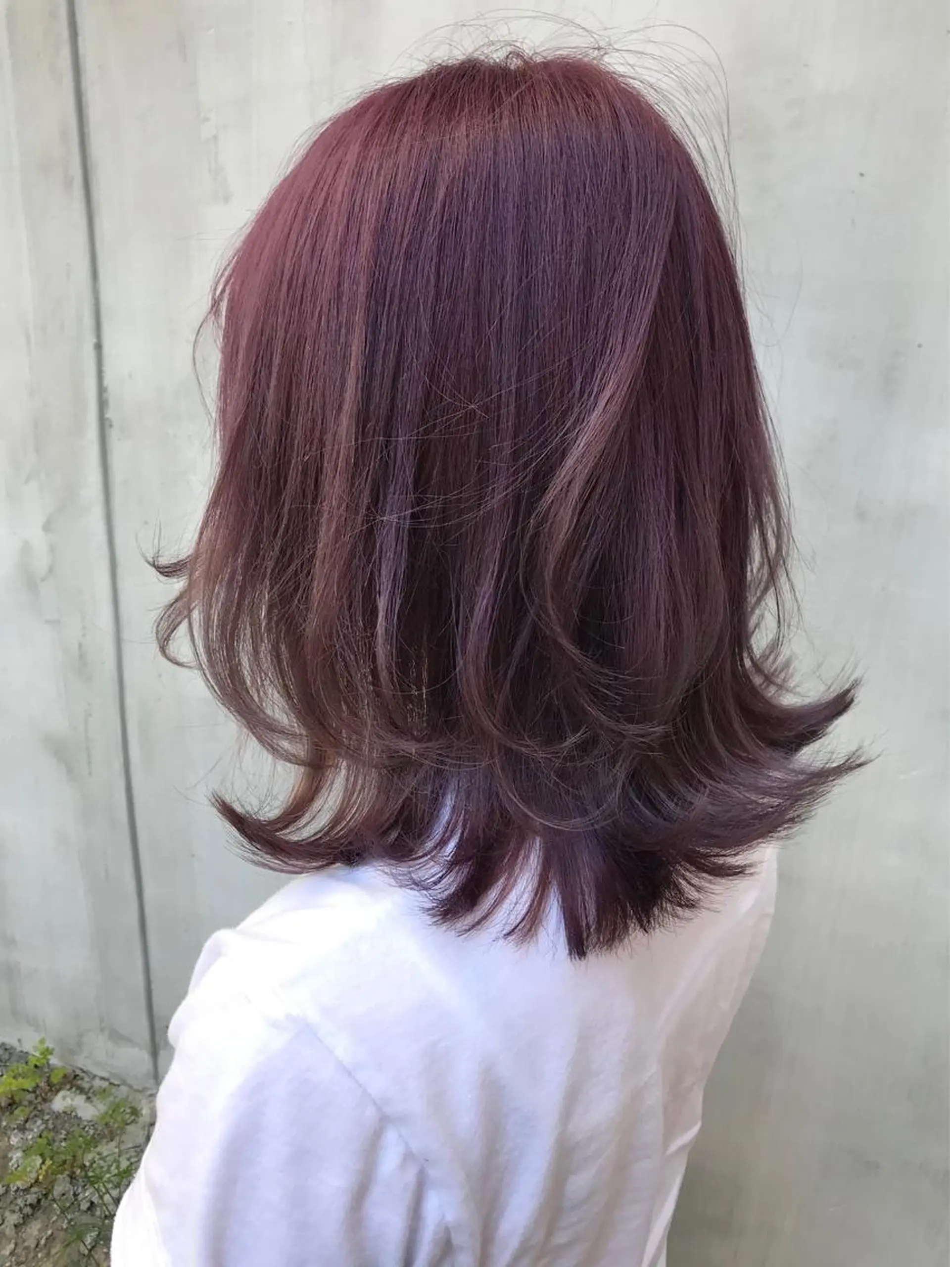 ミディアム カラー 佐藤 魁人のヘアスタイル