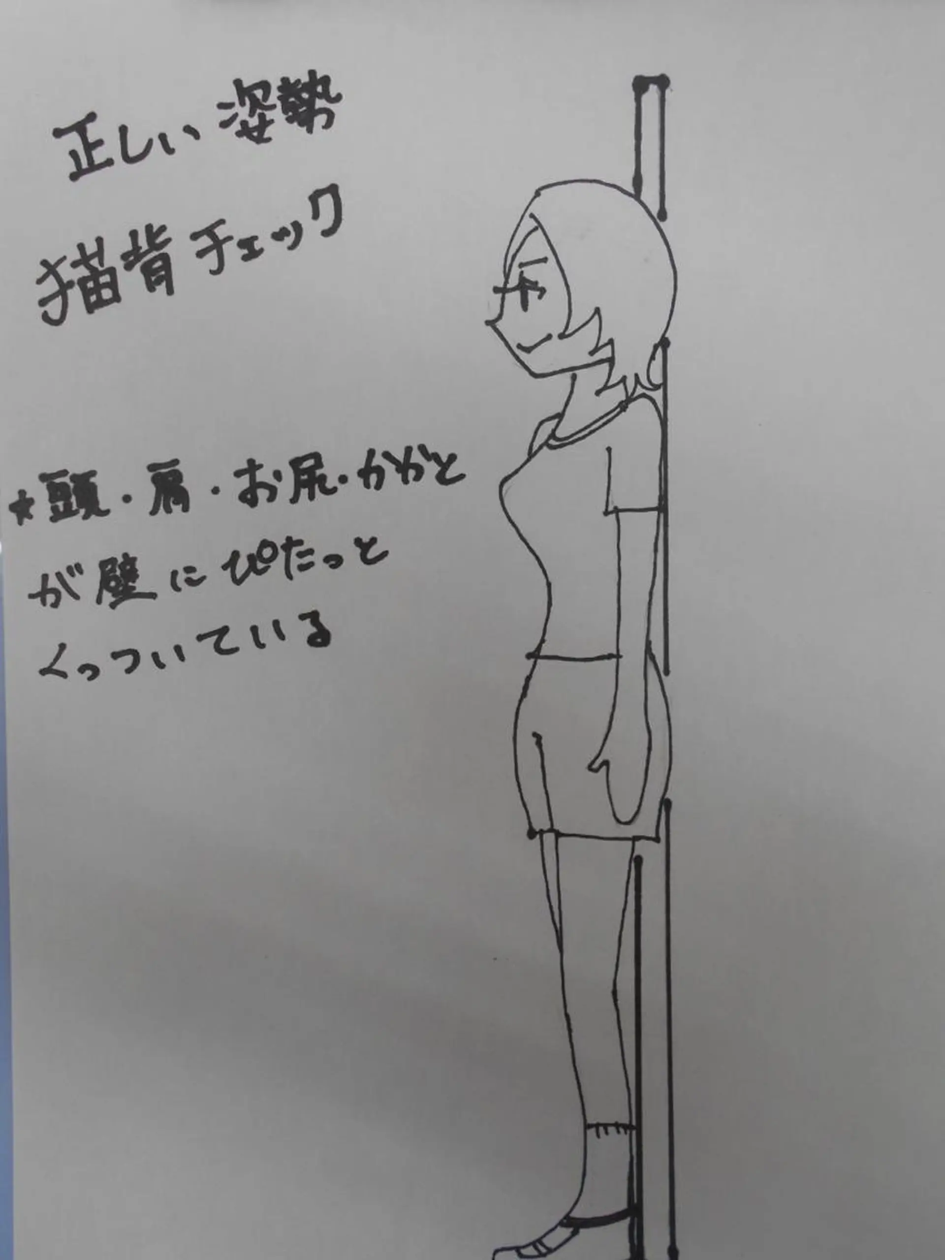 エステ リラク まごころ鍼灸整骨院所属・まごころ鍼灸整骨院 京王堀之内院のエステ・リラクイメージ