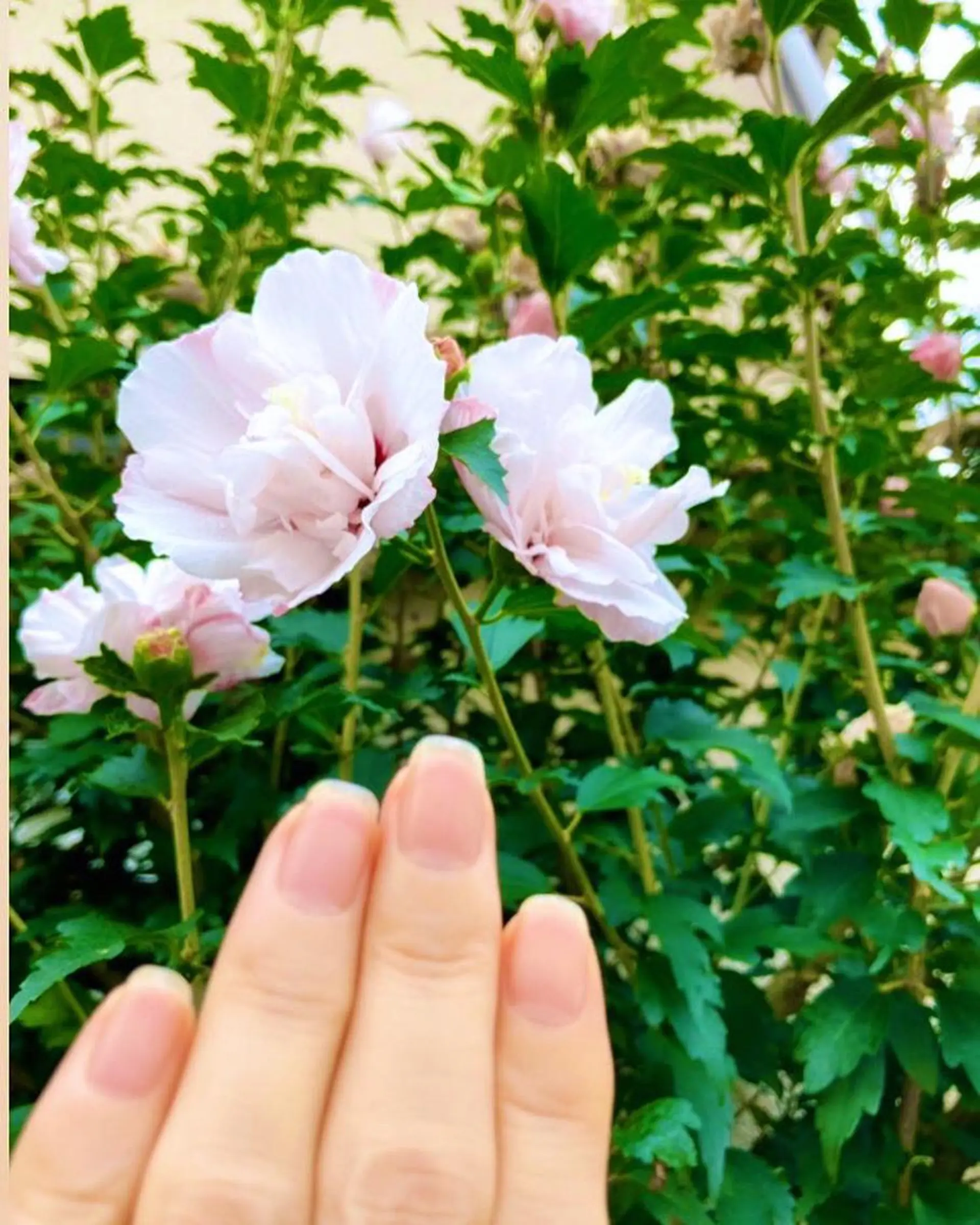 メンズ ネイル ハンドケア＆ネイルケア桃の木所属・ケアリスト🍀 マリユキのネイルデザイン