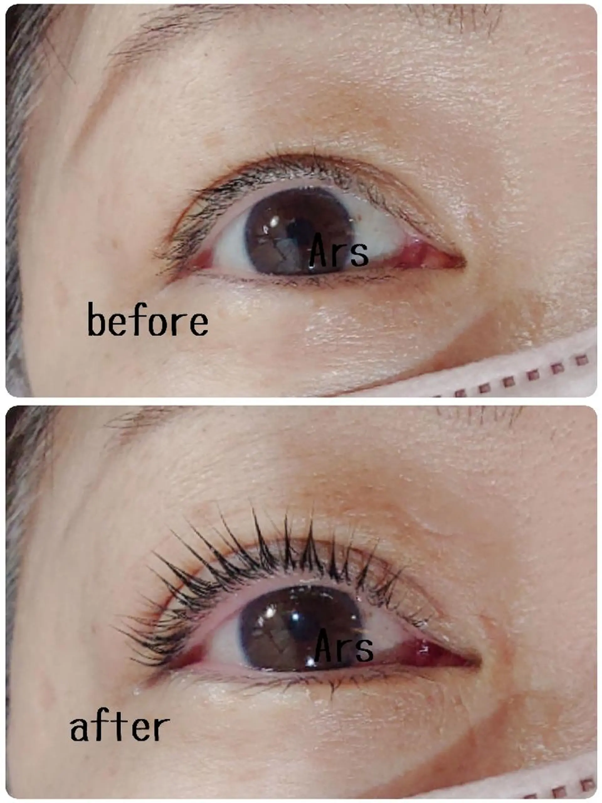 マツエク・マツパ アイリッドアップパーマ Ars  (ｱﾙｽ)所属・Ars      (ｱﾙｽ)のマツエク・マツパデザイン