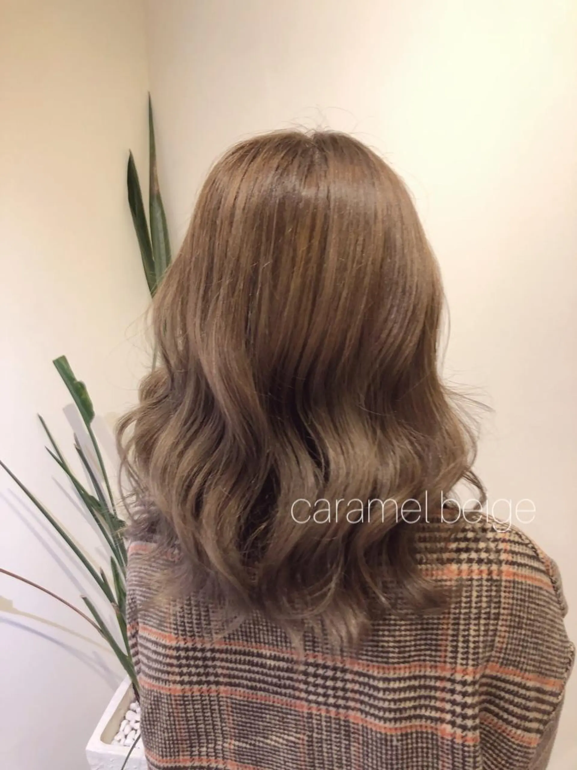 ミディアム ヘアカラー 🧡ミルクティー/ レイヤー🧡ショウナのヘアスタイル