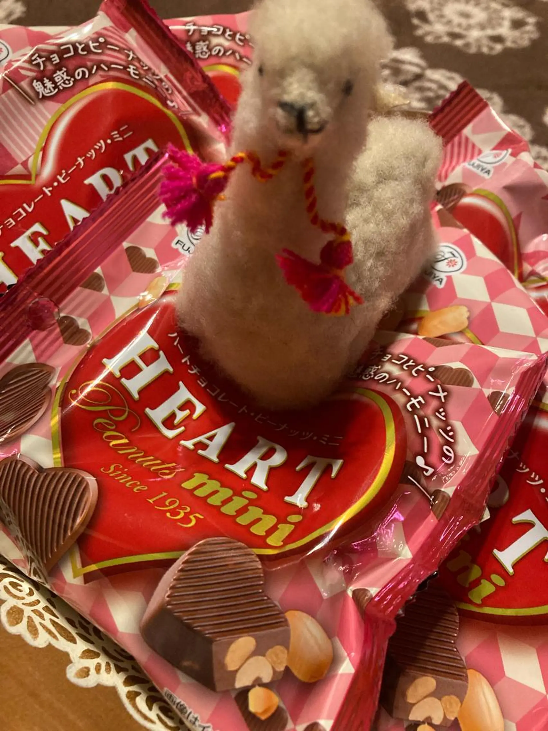 岩井 秋子のエステ・リラクイメージ