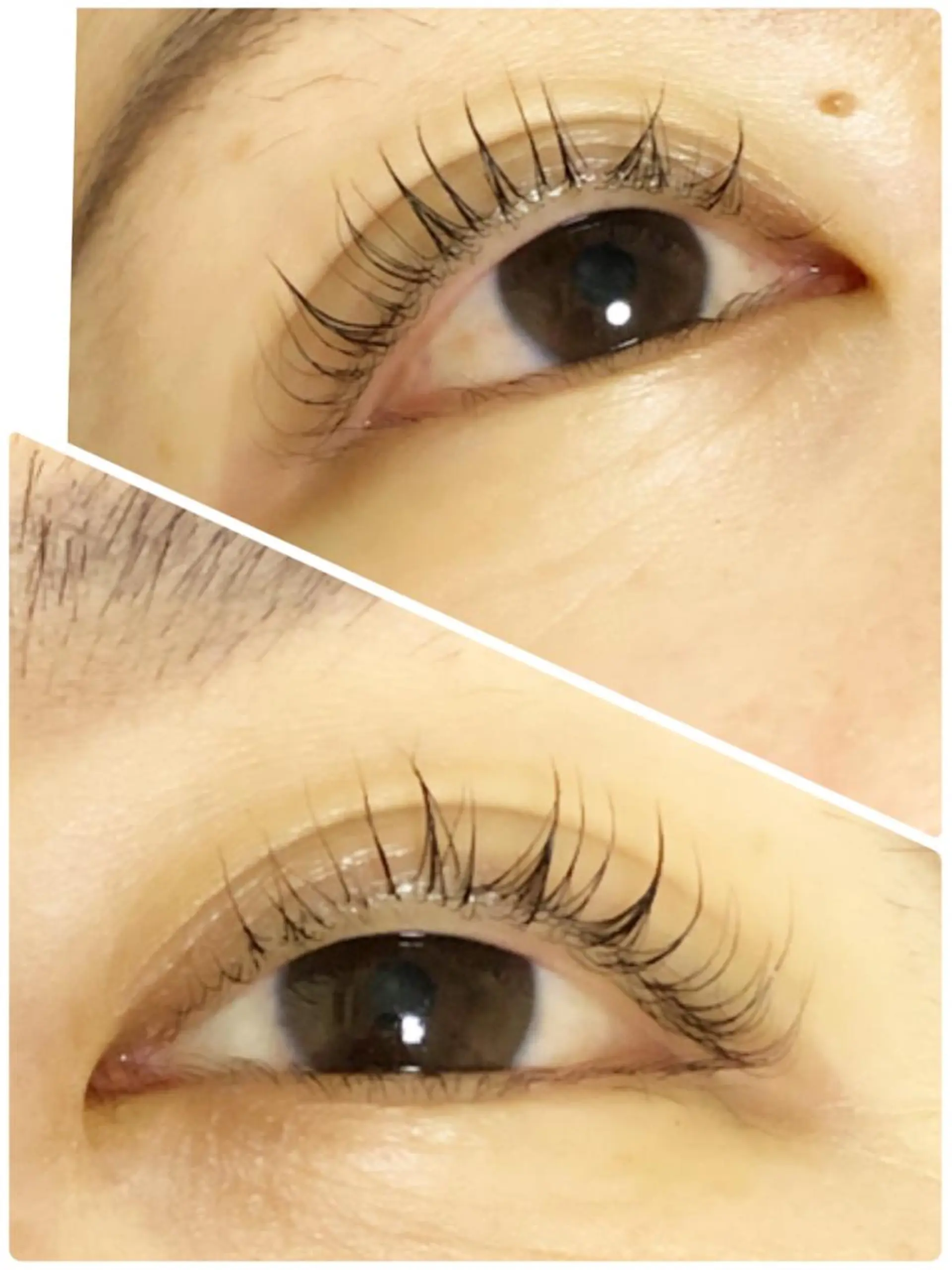 マツエク・マツパ 戸田 早耶のマツエク・マツパデザイン