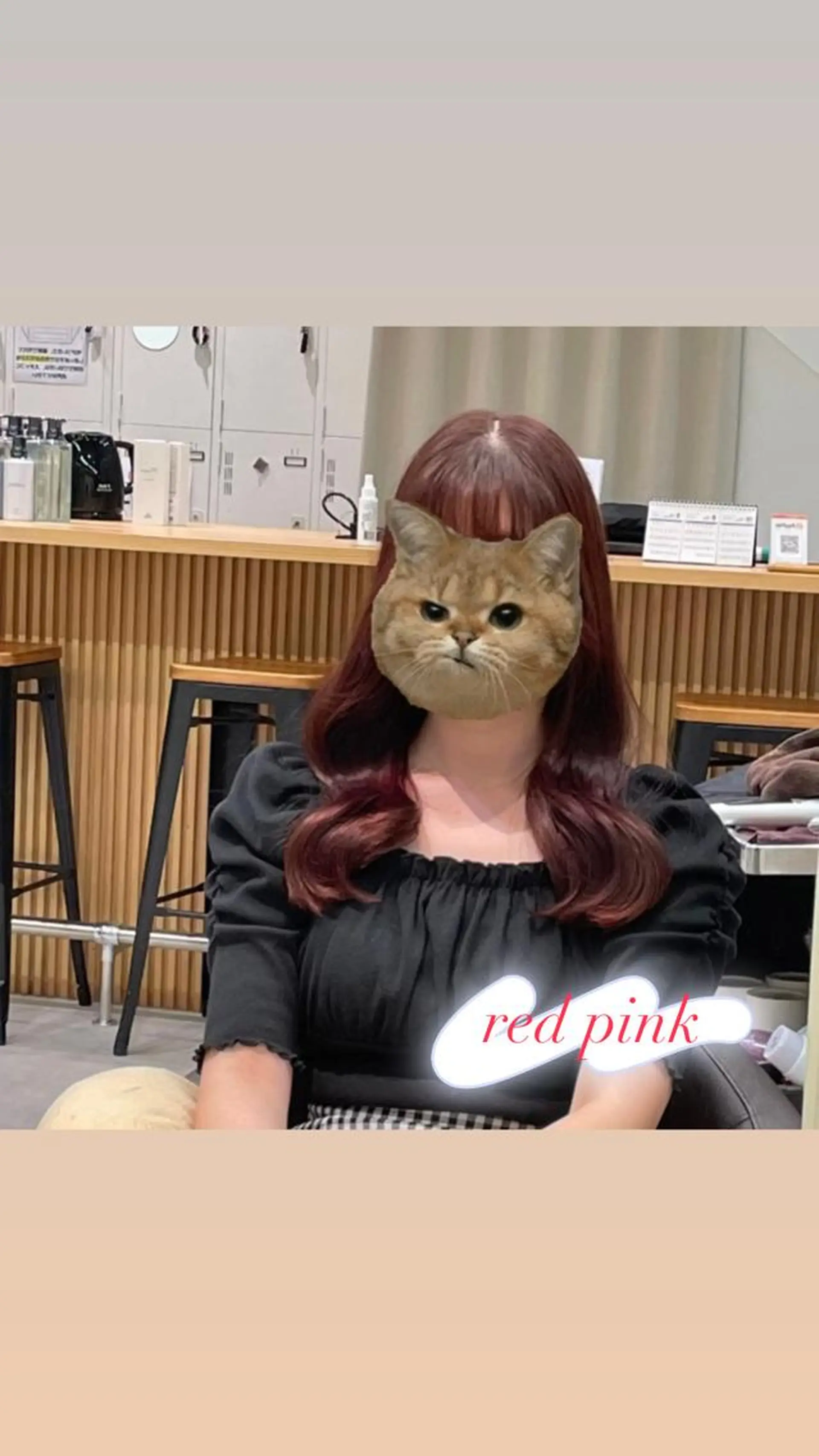 ロング カラー ブラウンカラー ピンクカラー ピンクブラウン ヨシンモリ ヘアカラー ピンクカラー🎀/ ミルクティー🍼花音のヘアスタイル