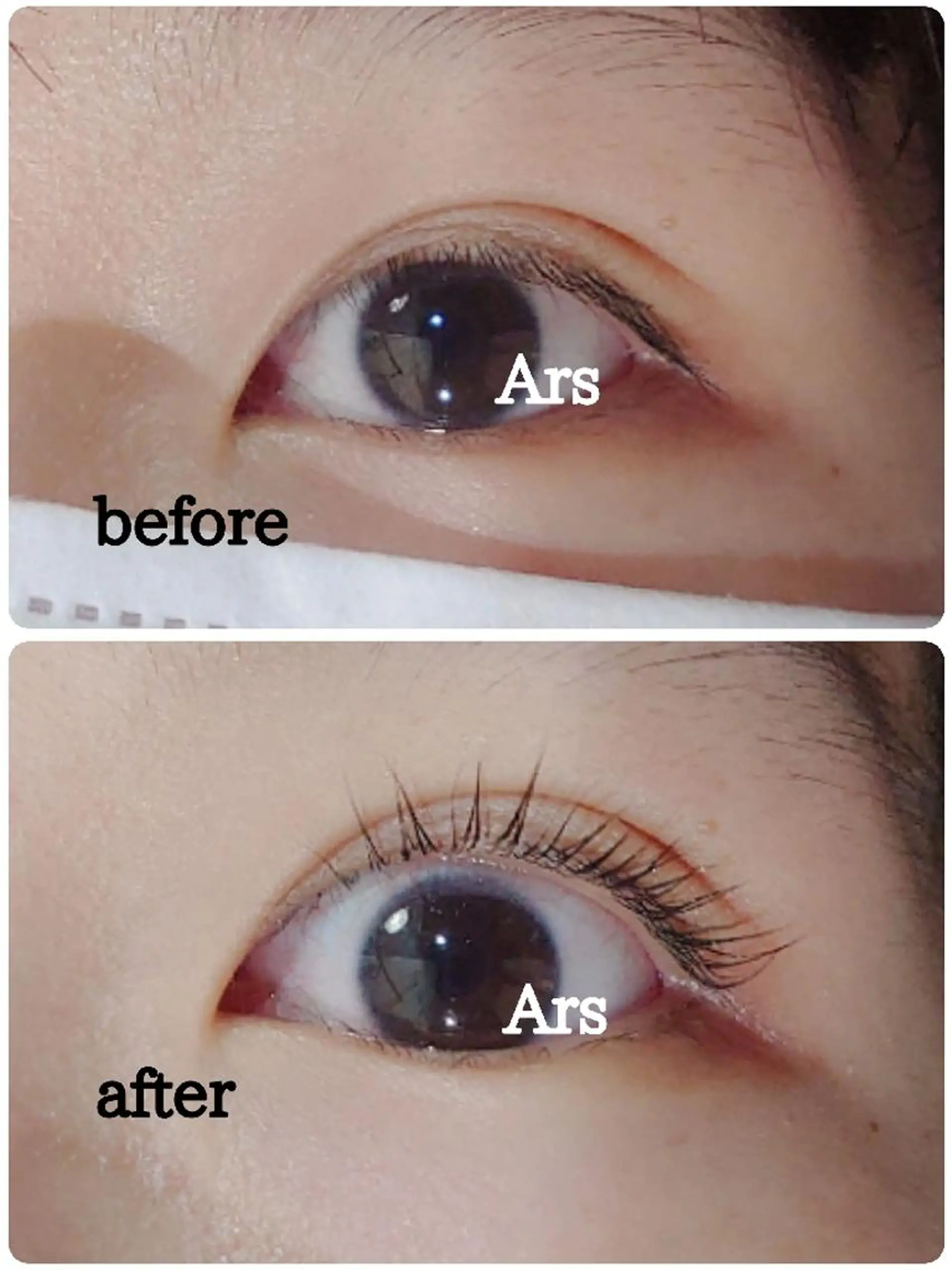 マツエク・マツパ アイリッドアップパーマ Ars  (ｱﾙｽ)所属・Ars      (ｱﾙｽ)のマツエク・マツパデザイン