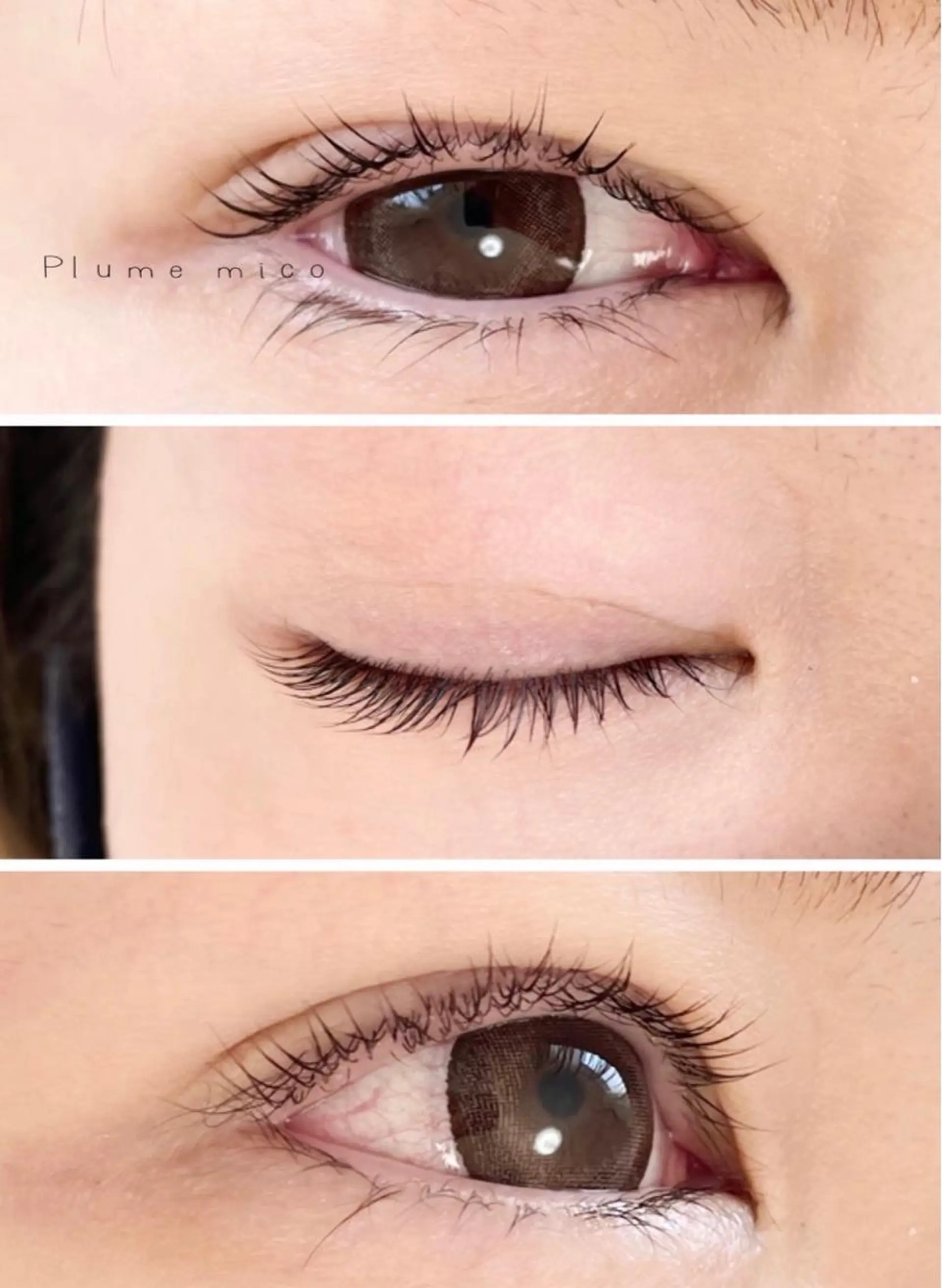 マツエク・マツパ マツパ Plume micoのマツエク・マツパデザイン