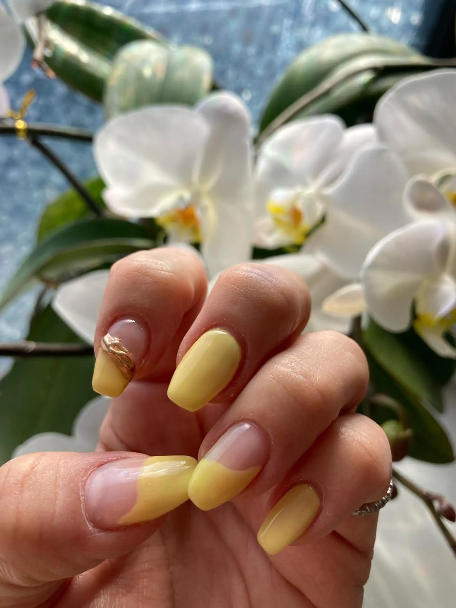 ネイル NailSalon Beniceのネイルデザイン