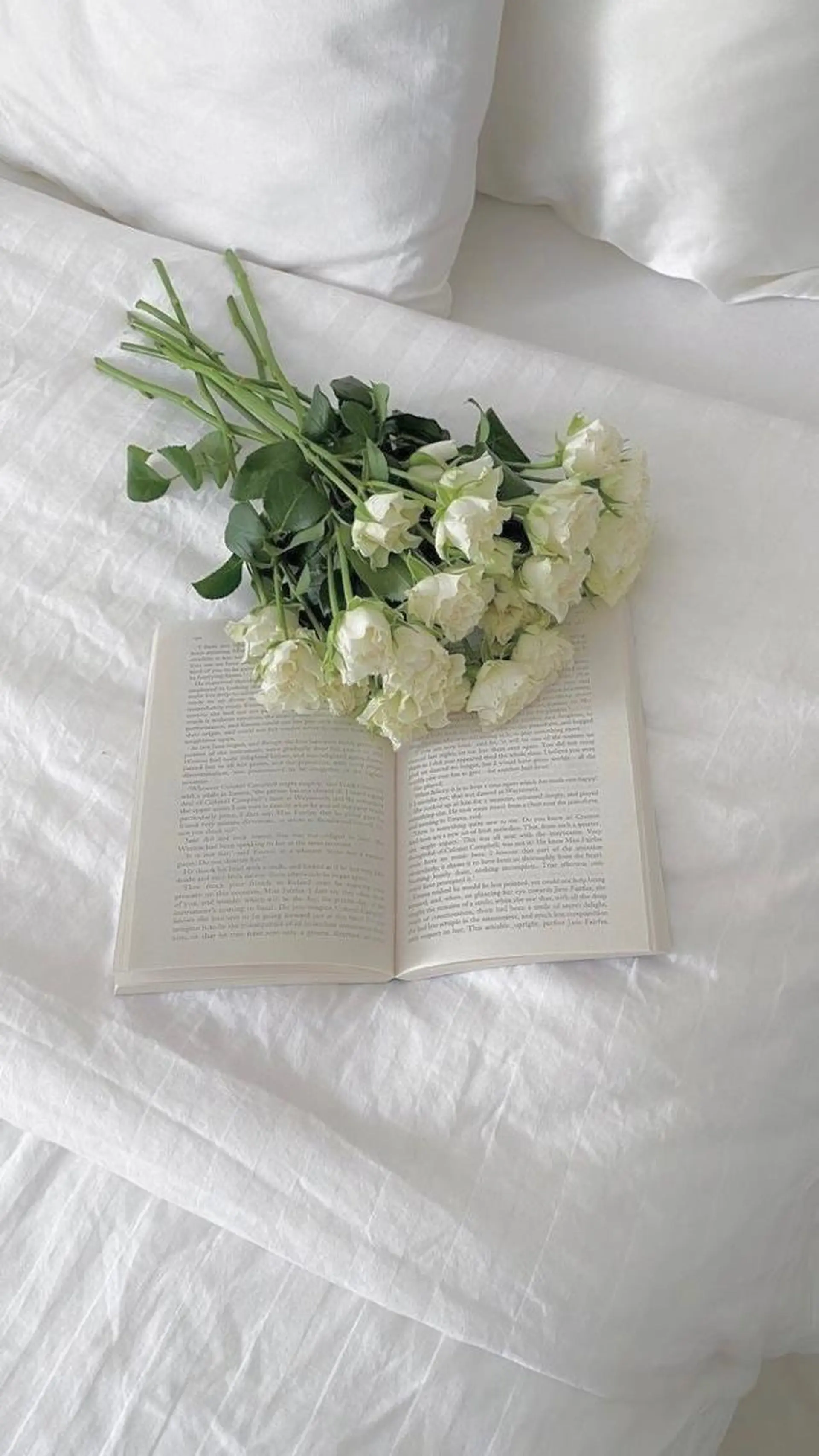 マツエク・マツパ PLUS EYE 銀座本店所属・プラスアイ銀座本店 🥀RIHO🥀のマツエク・マツパデザイン