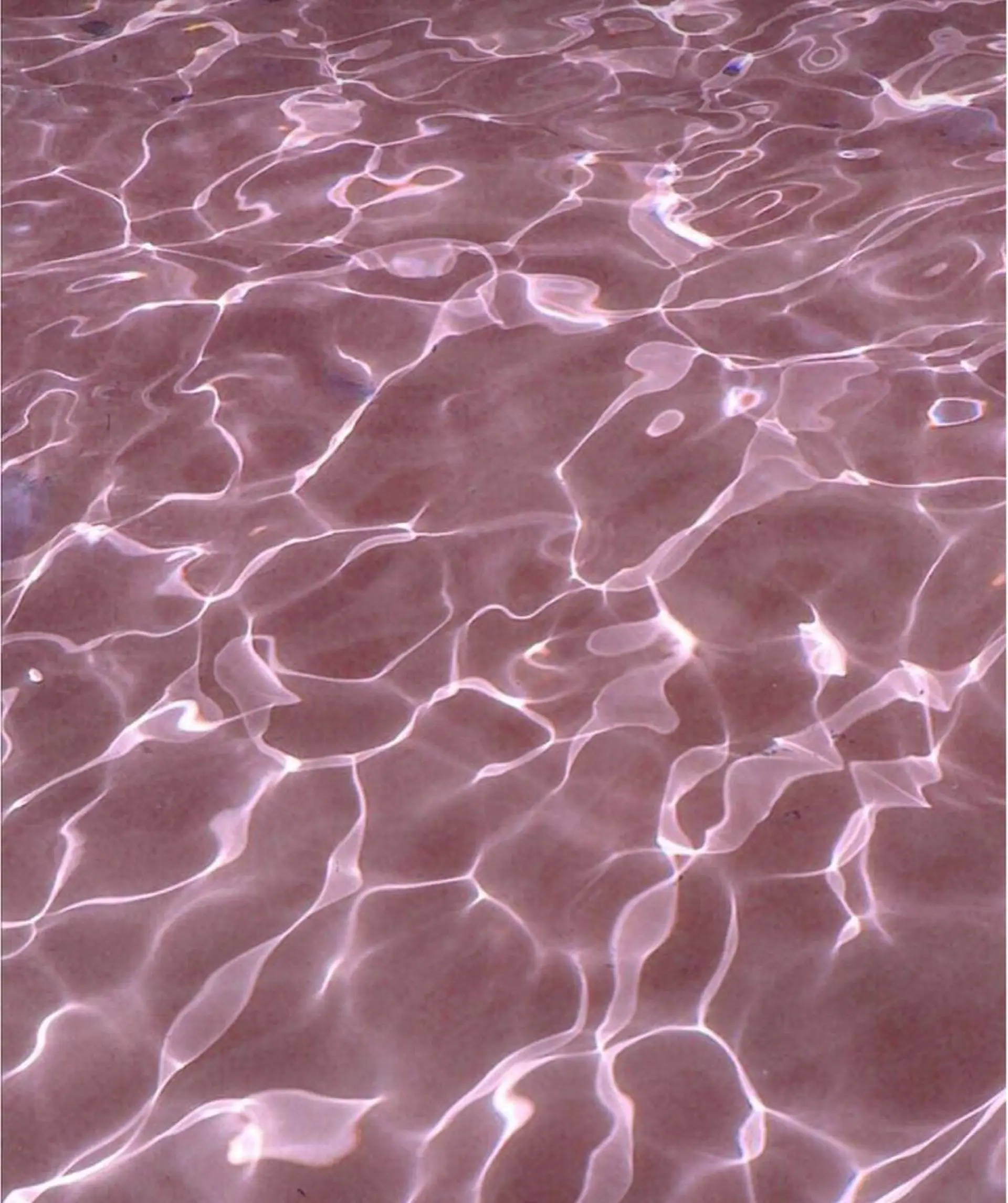 Bless hair &spa所属・🫧縮毛矯正／カラー ／bless松浦🫧のヘアスタイル