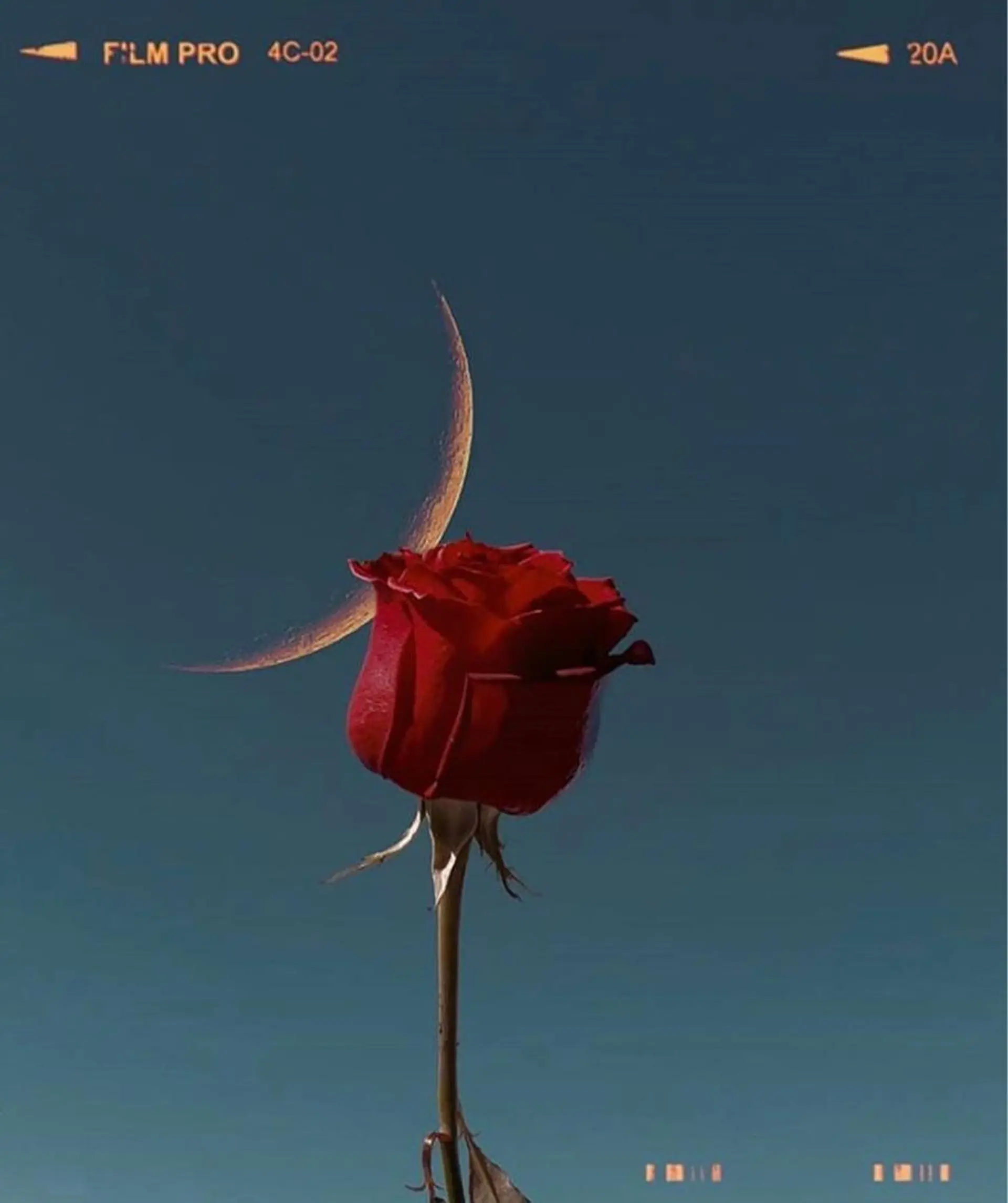 マツエク・マツパ ワックス脱毛 眉カット その他(アイブロウ) ✨アイリスト✨ JURIのマツエク・マツパデザイン