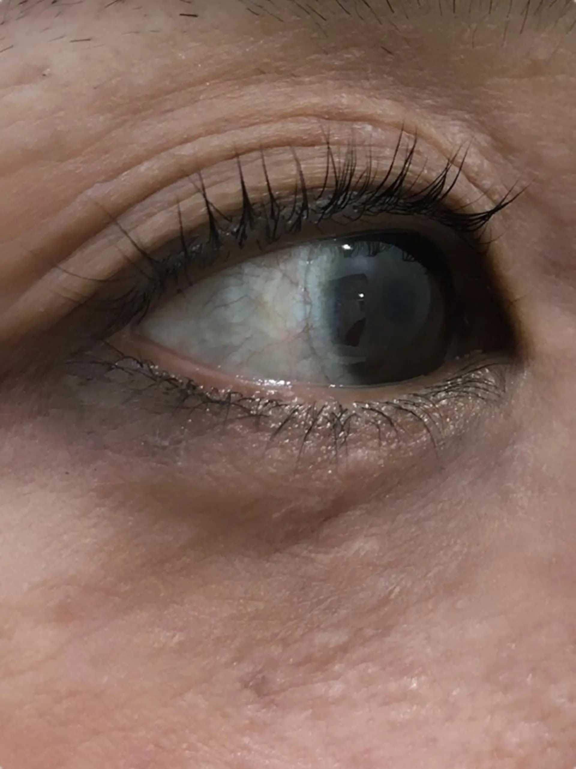 マツエク・マツパ パリジェンヌラッシュリフト full（フル）所属・薬院フル 【泉　史子】のマツエク・マツパデザイン