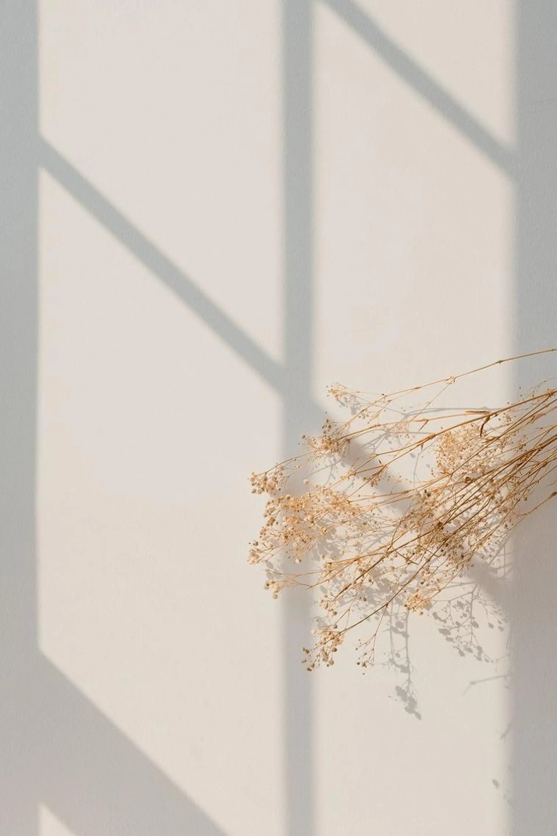 ネイル フットネイル Cherienail yunaのネイルデザイン