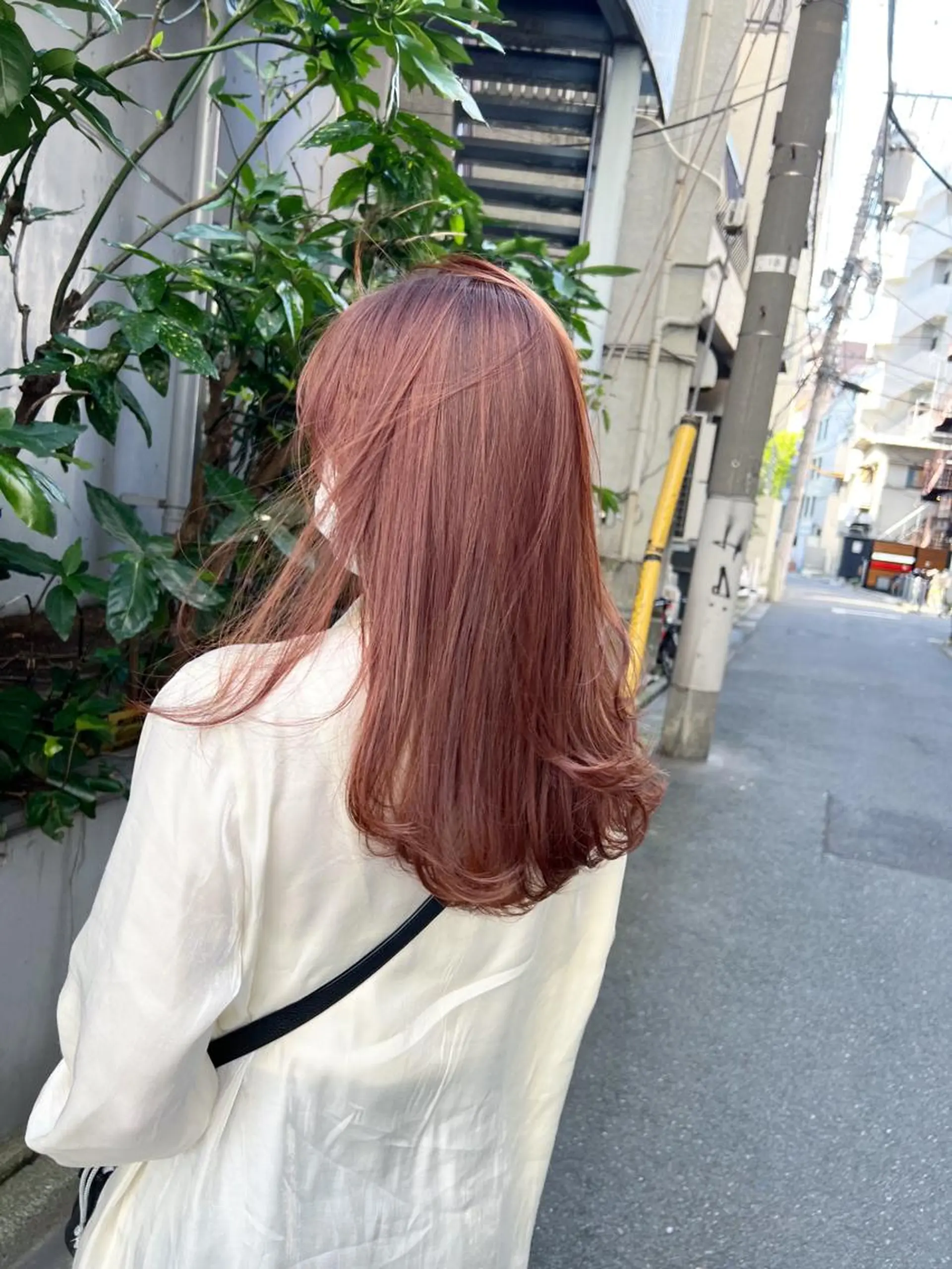 セミロング カラー ベージュカラー ハイライトカラー ピンクカラー ピンクベージュ ハイライト DUMBO所属・【完全マンツー 恵比寿】佐藤 翔のヘアスタイル