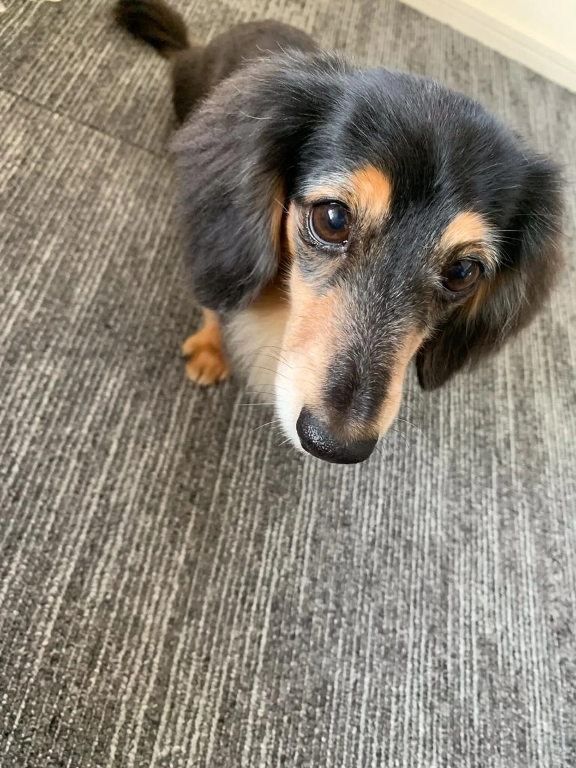 食べながら魅せボディ éclatJua川越のエステ・リラクイメージ